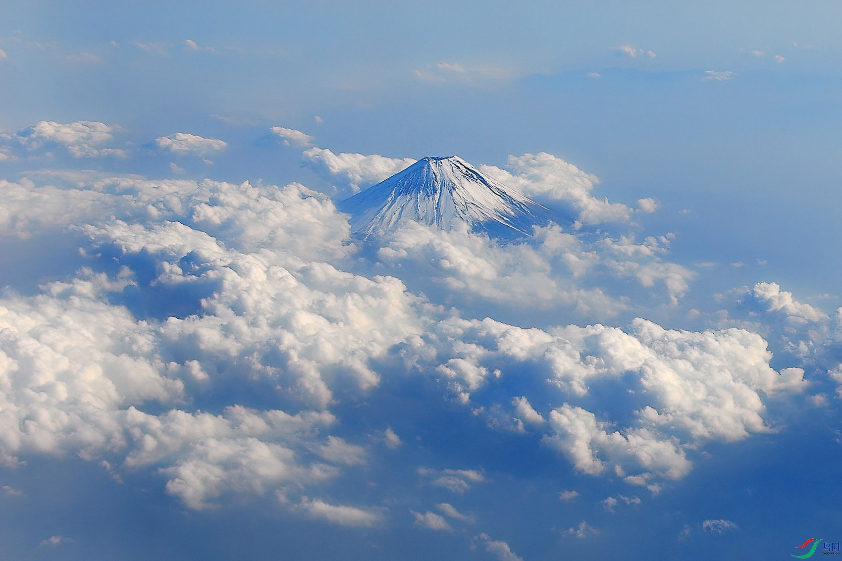 20802 usa (862)q q.jpg