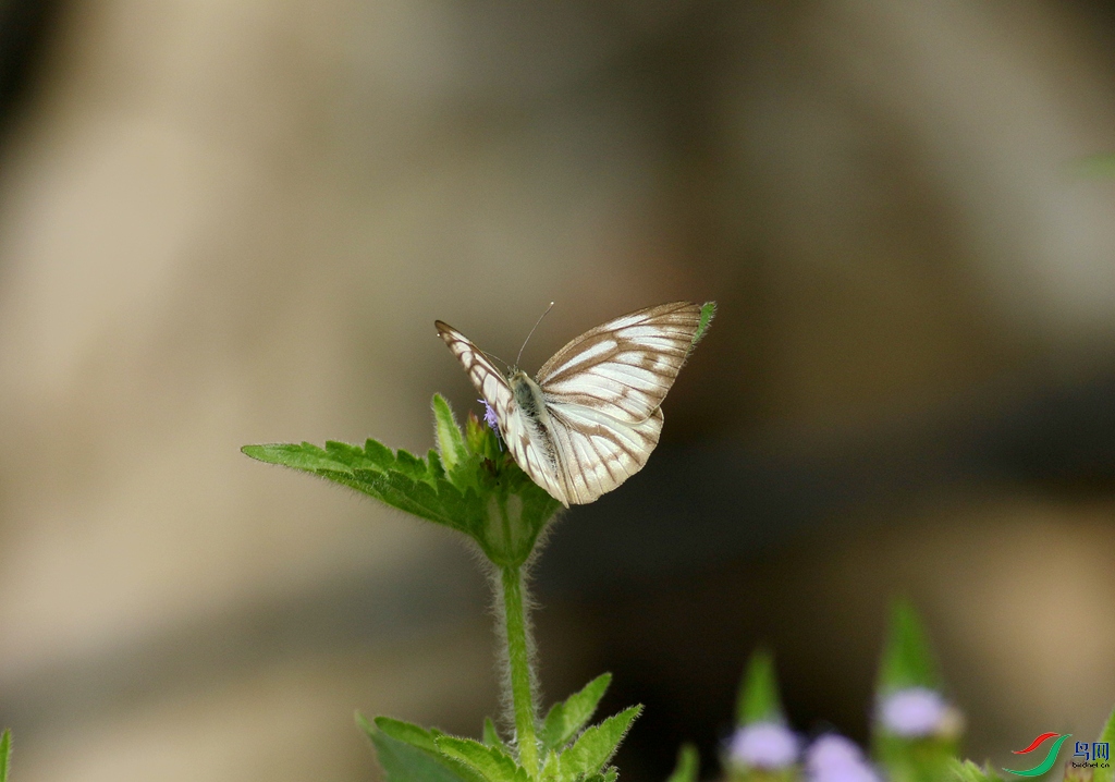 367A6546_����.jpg