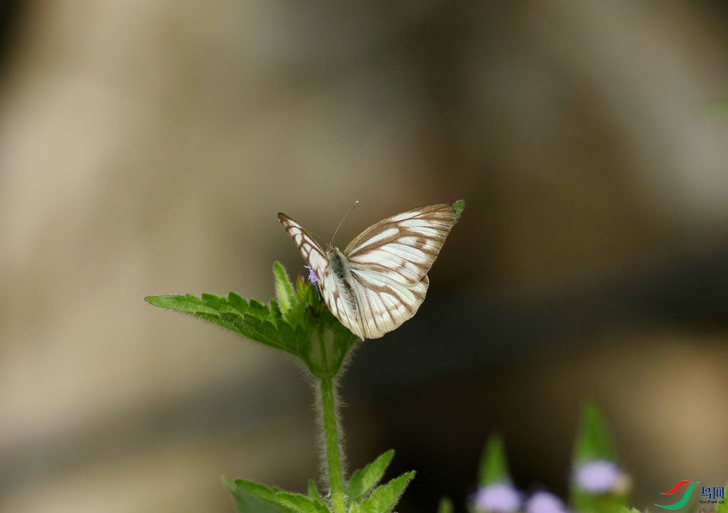 367A6547_����.jpg