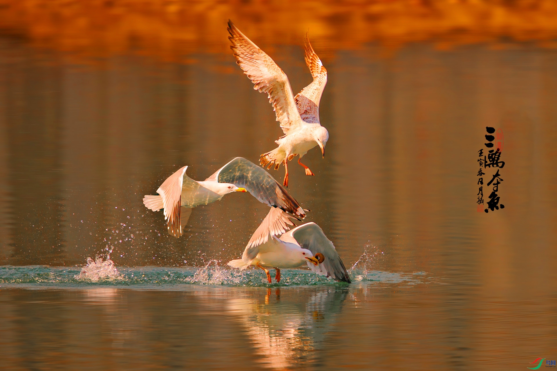 BH8I0032 ����.jpg