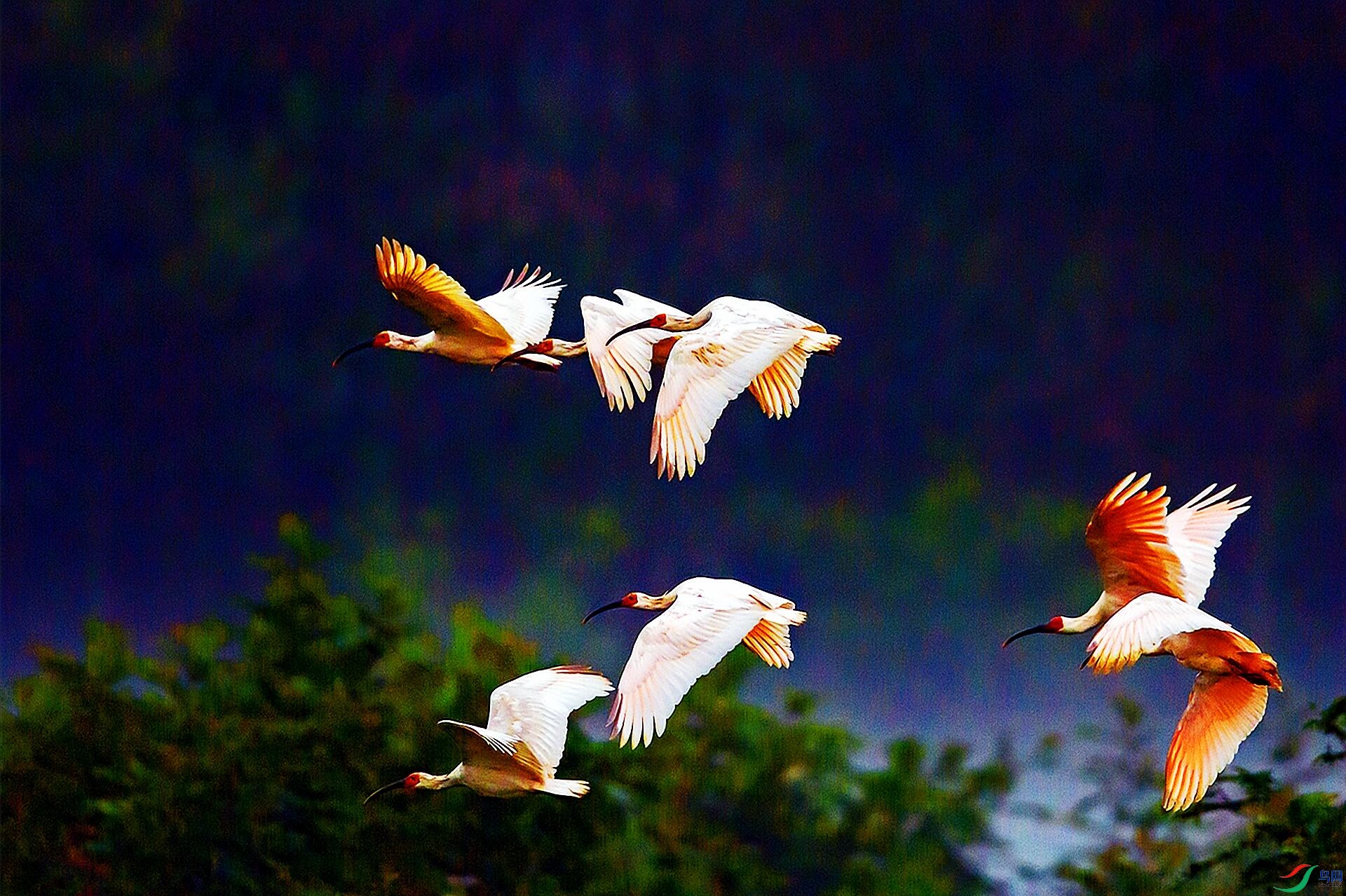 180416x3dh9u0di9t93zu1.jpg
