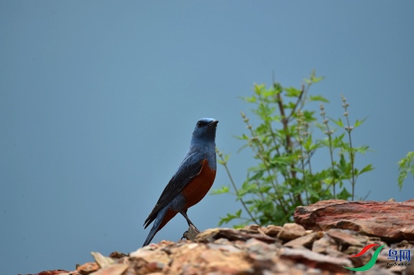 File0000051204.jpg