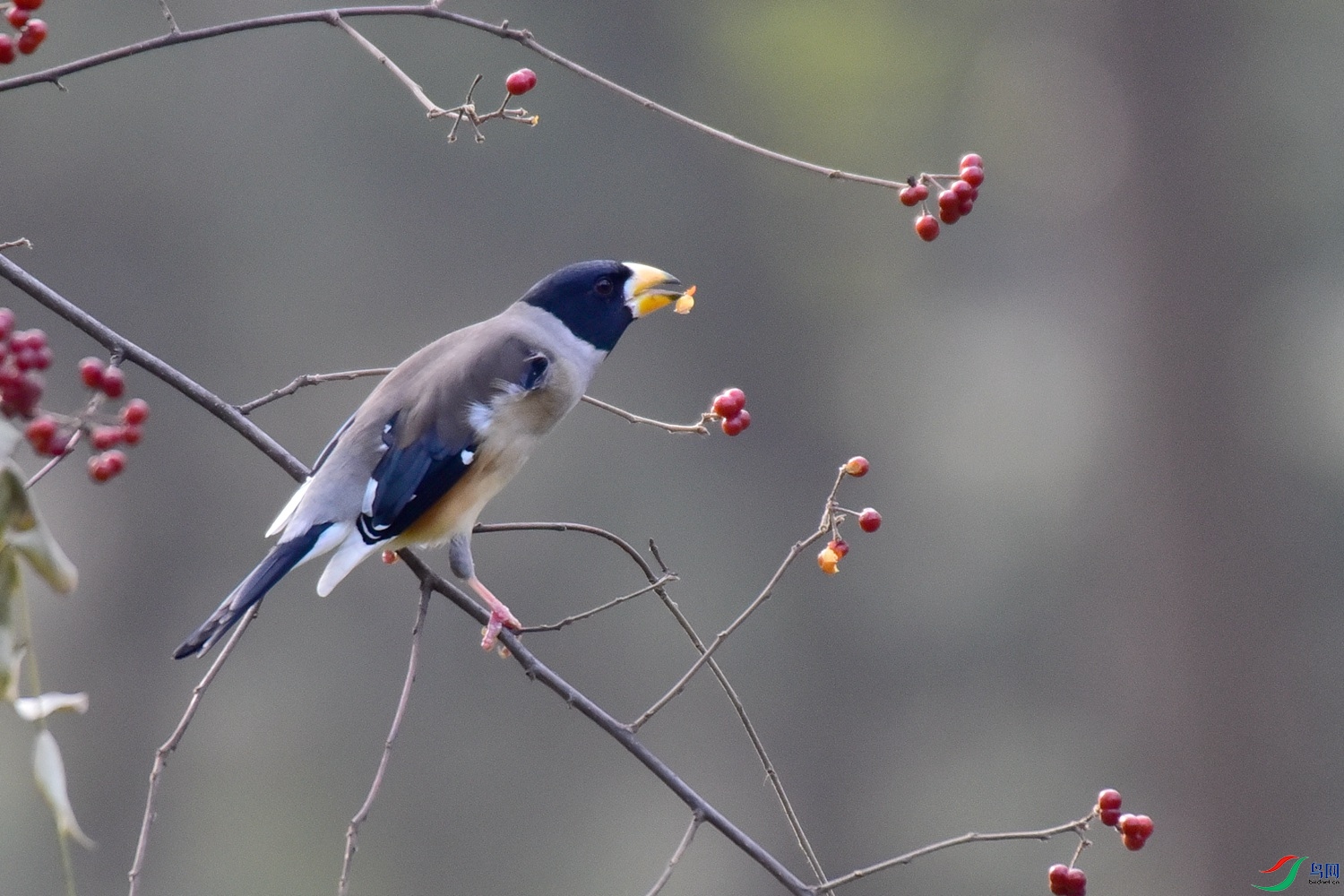 DSC_6473.JPG