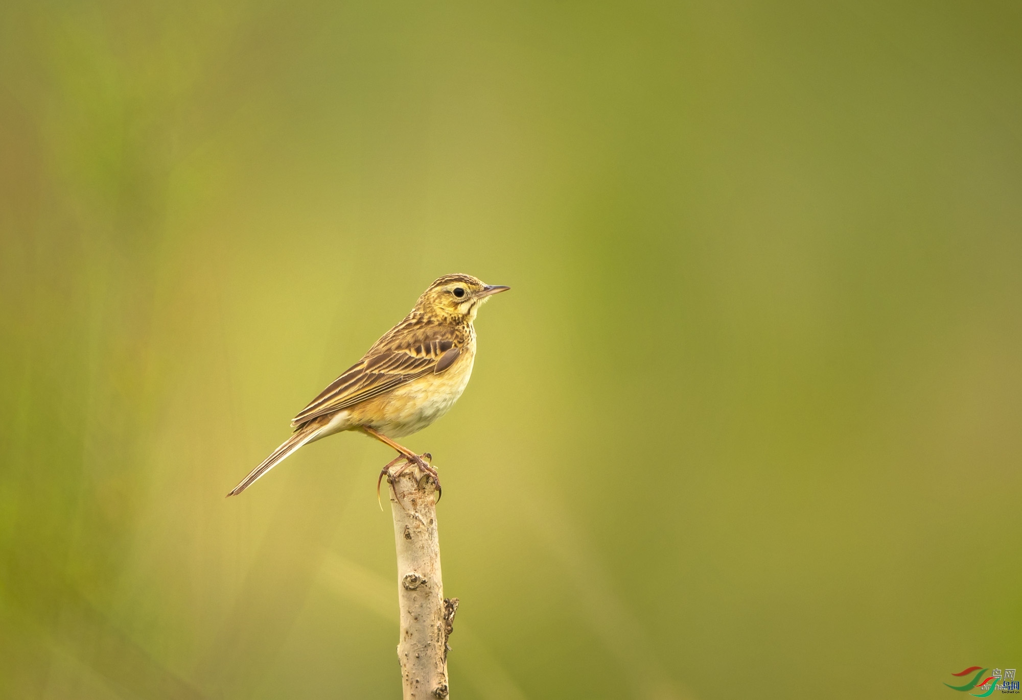 zhj926888  ��ʦ�����ڸ���ʡ��Ҵ�и�̨��.jpg