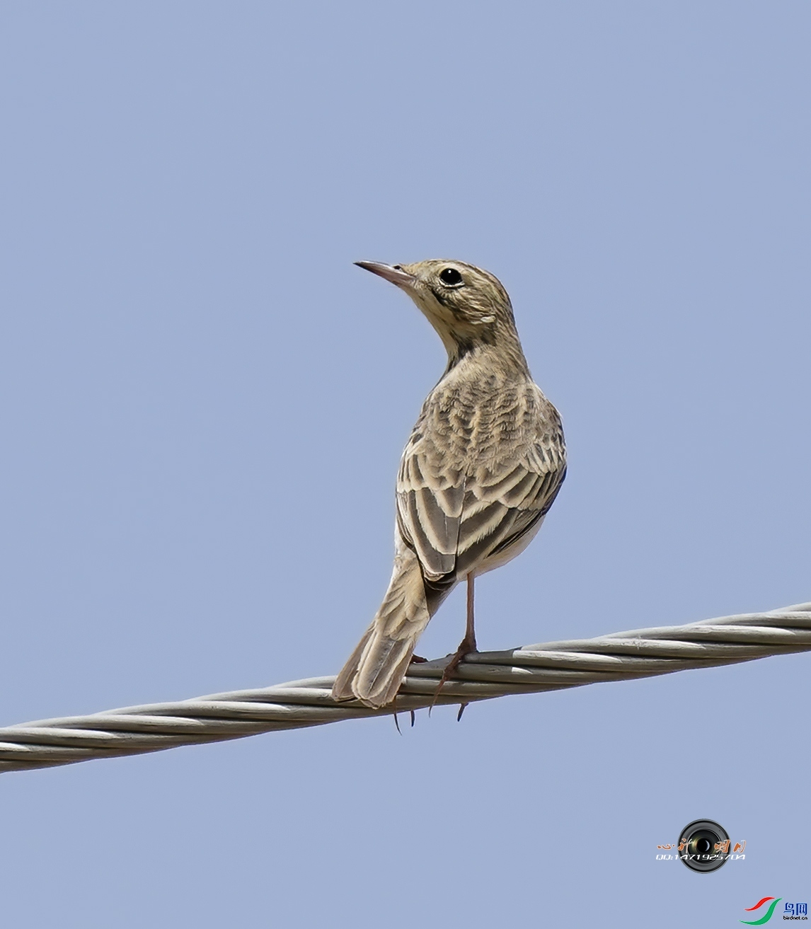 ��������  ��ʦ���������ɹ����������ͺ�����.jpg