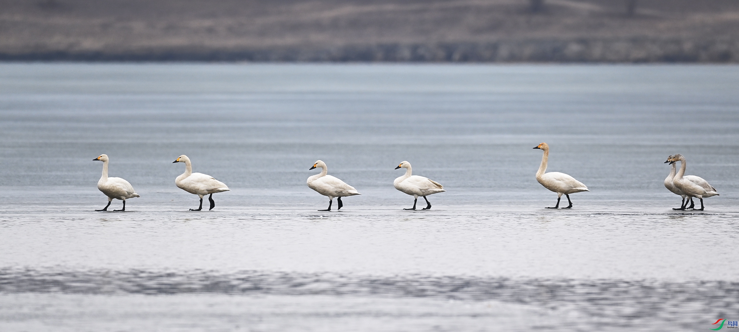 DSC_3929.jpg