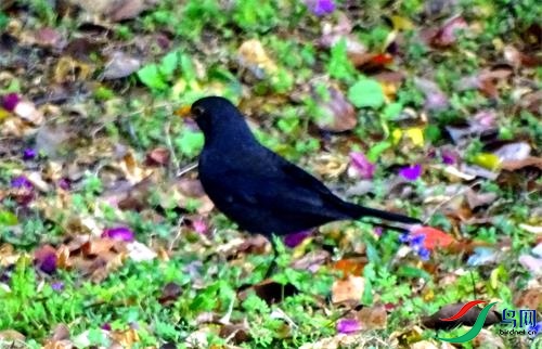 DSC01043.JPG