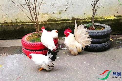 ΢��ͼƬ_20220311101211 - ����.jpg