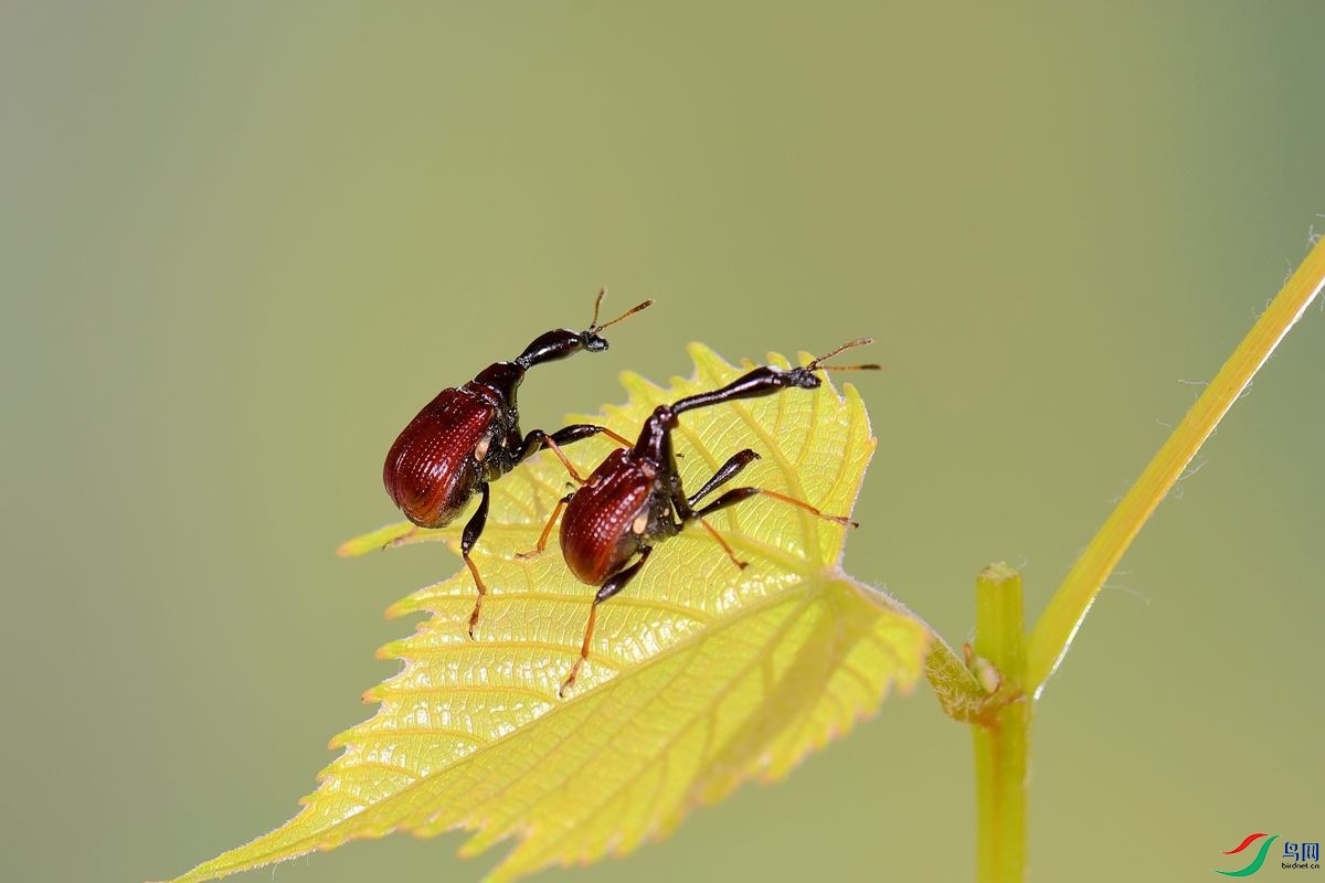 DSC_1505_����.jpg