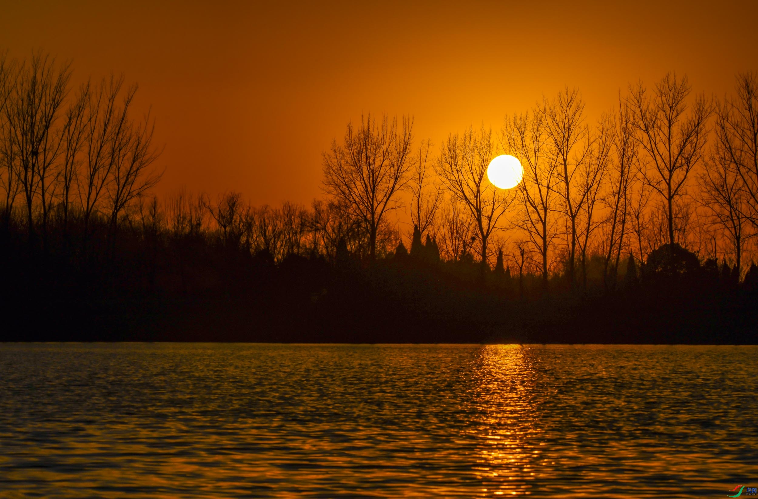 DSC_5173.jpg