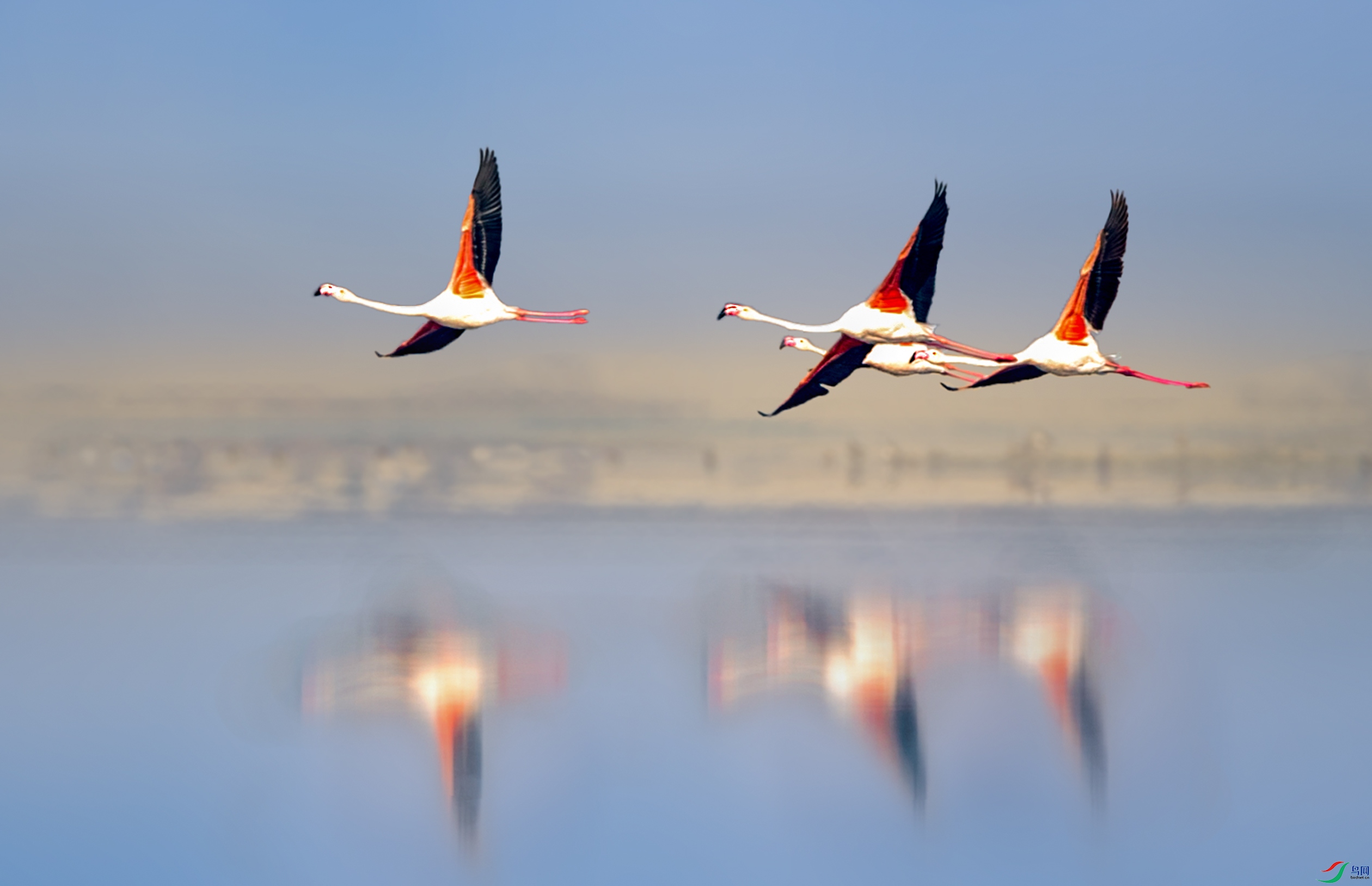 DSC_0044a.jpg