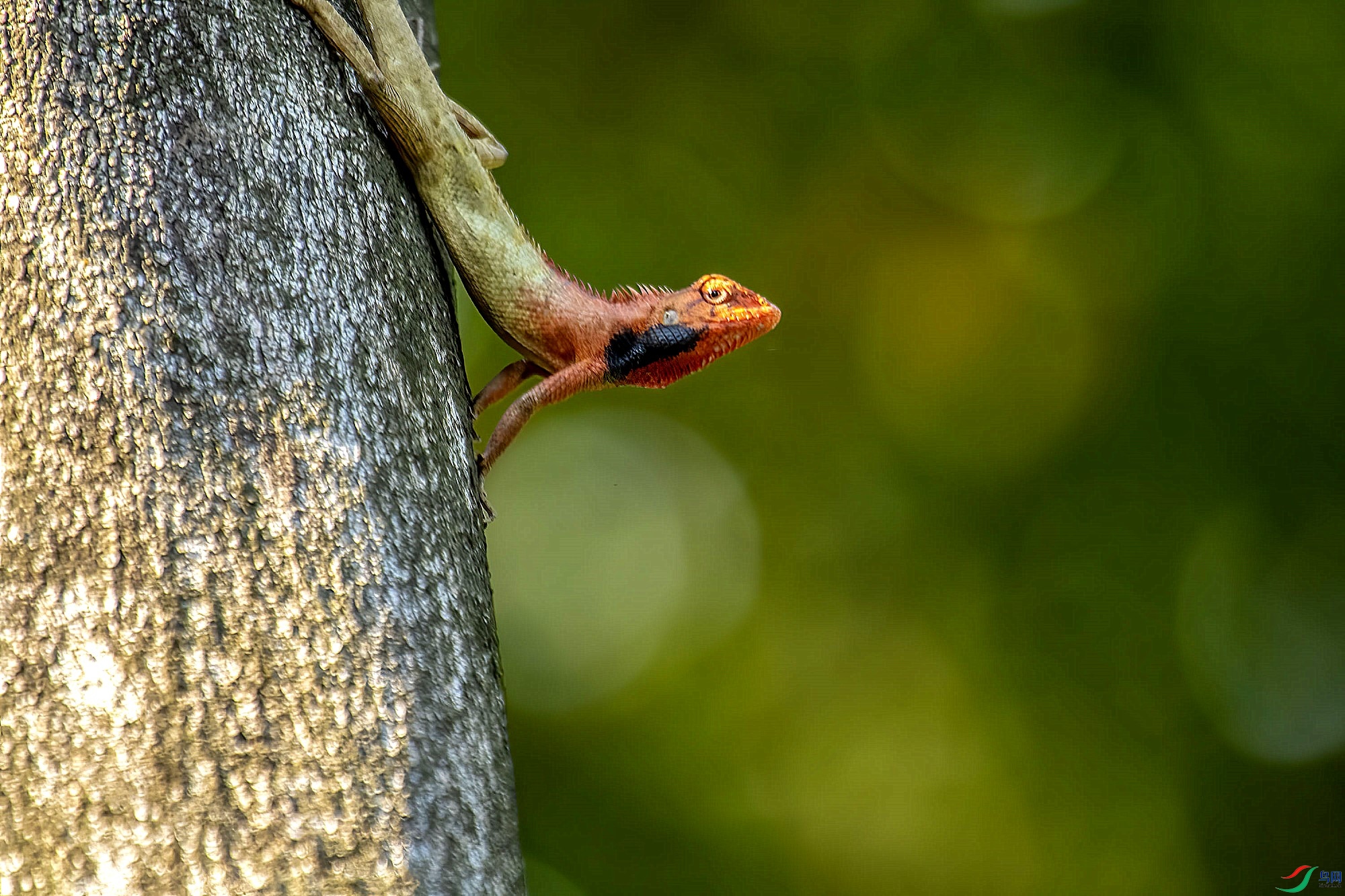 DSC_3538_����.jpg
