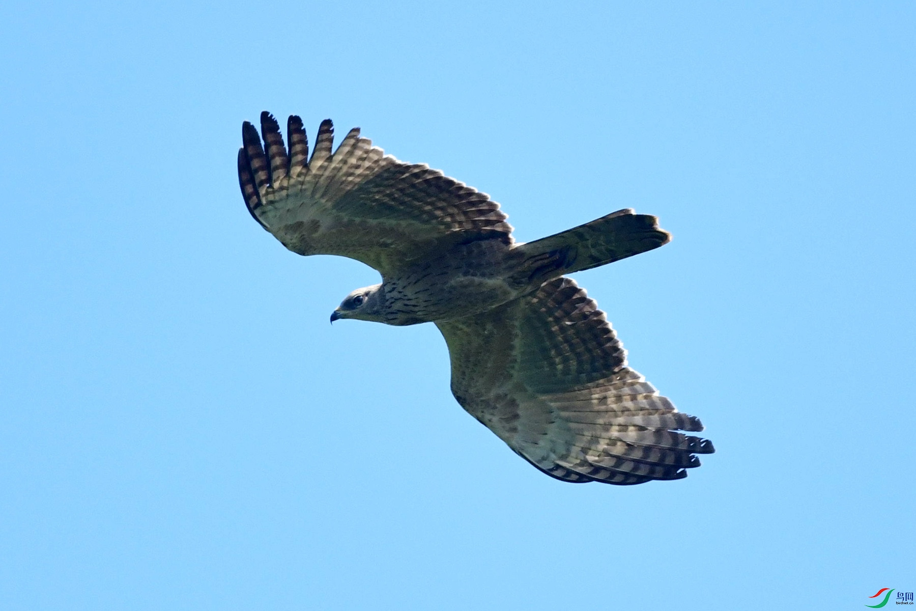 DSC_1385_����000̨��.jpg
