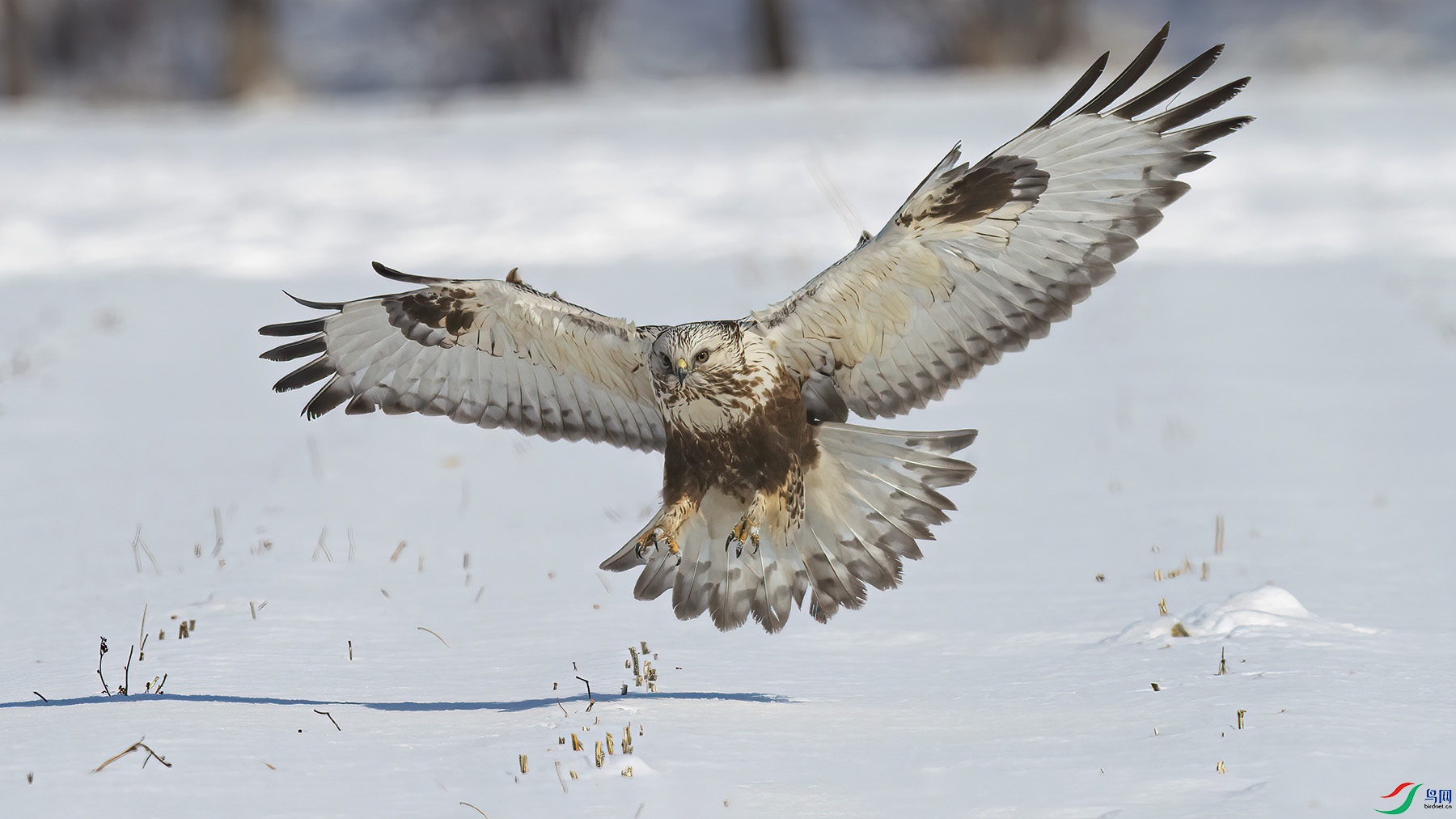 L03_9230-1.jpg
