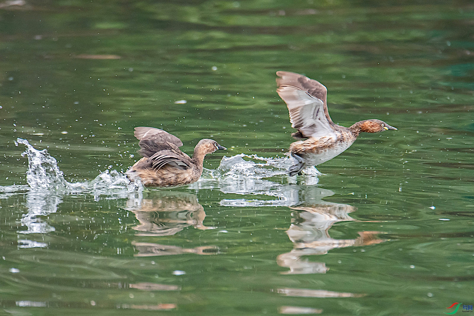 DSC_8644.jpg