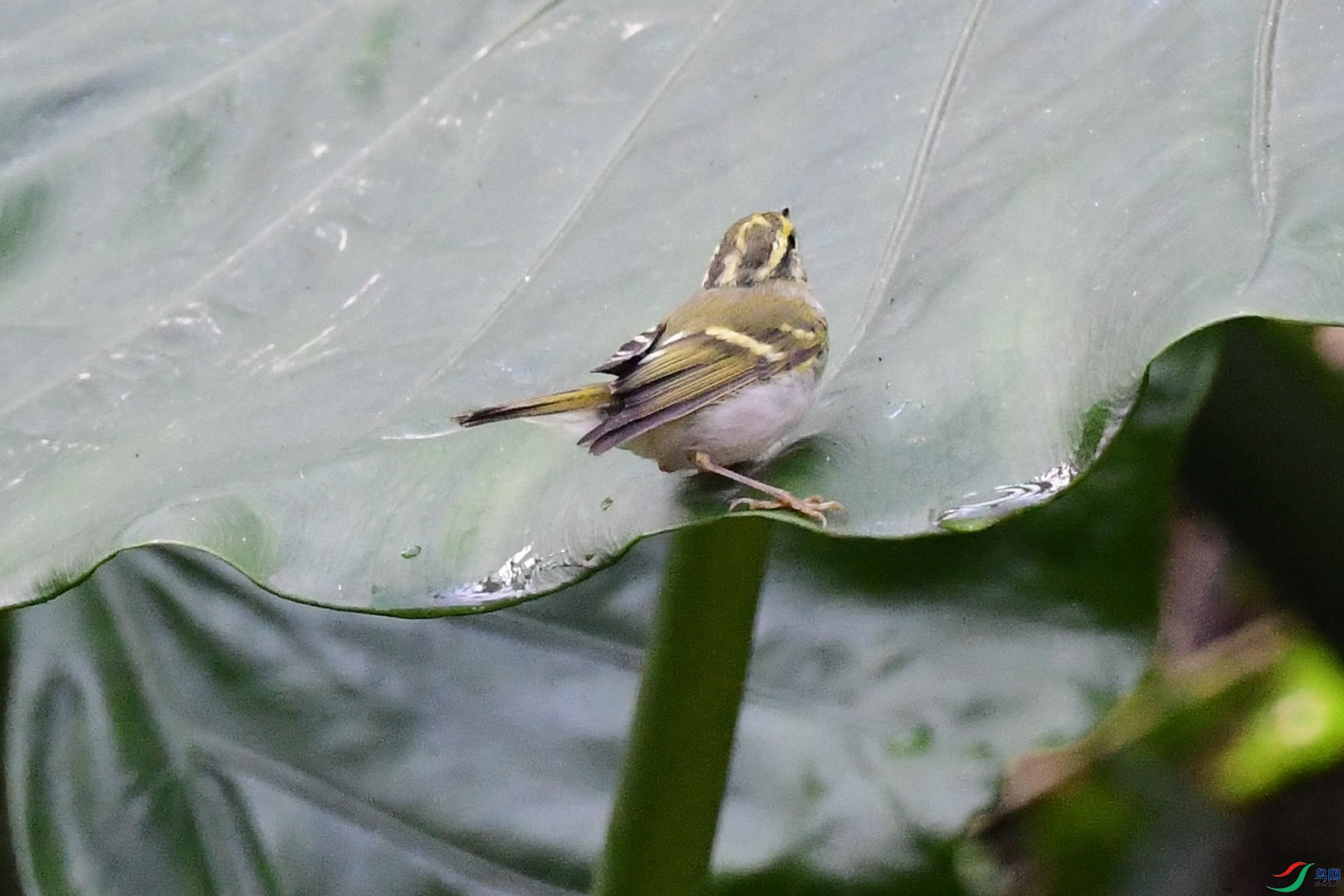 DSC_1757_����.jpg0000_����.jpg