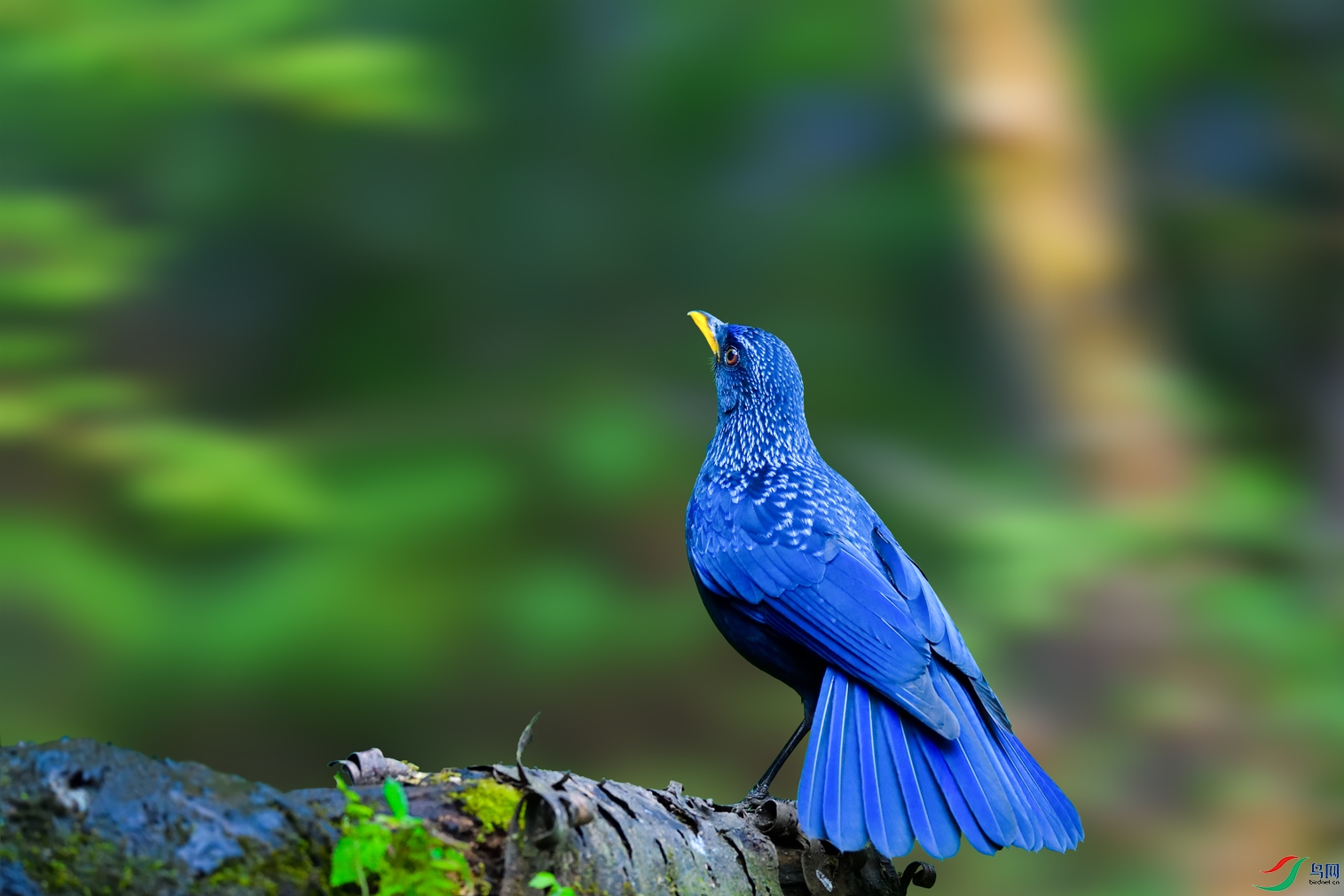 ��Х�DSC_7884.jpg