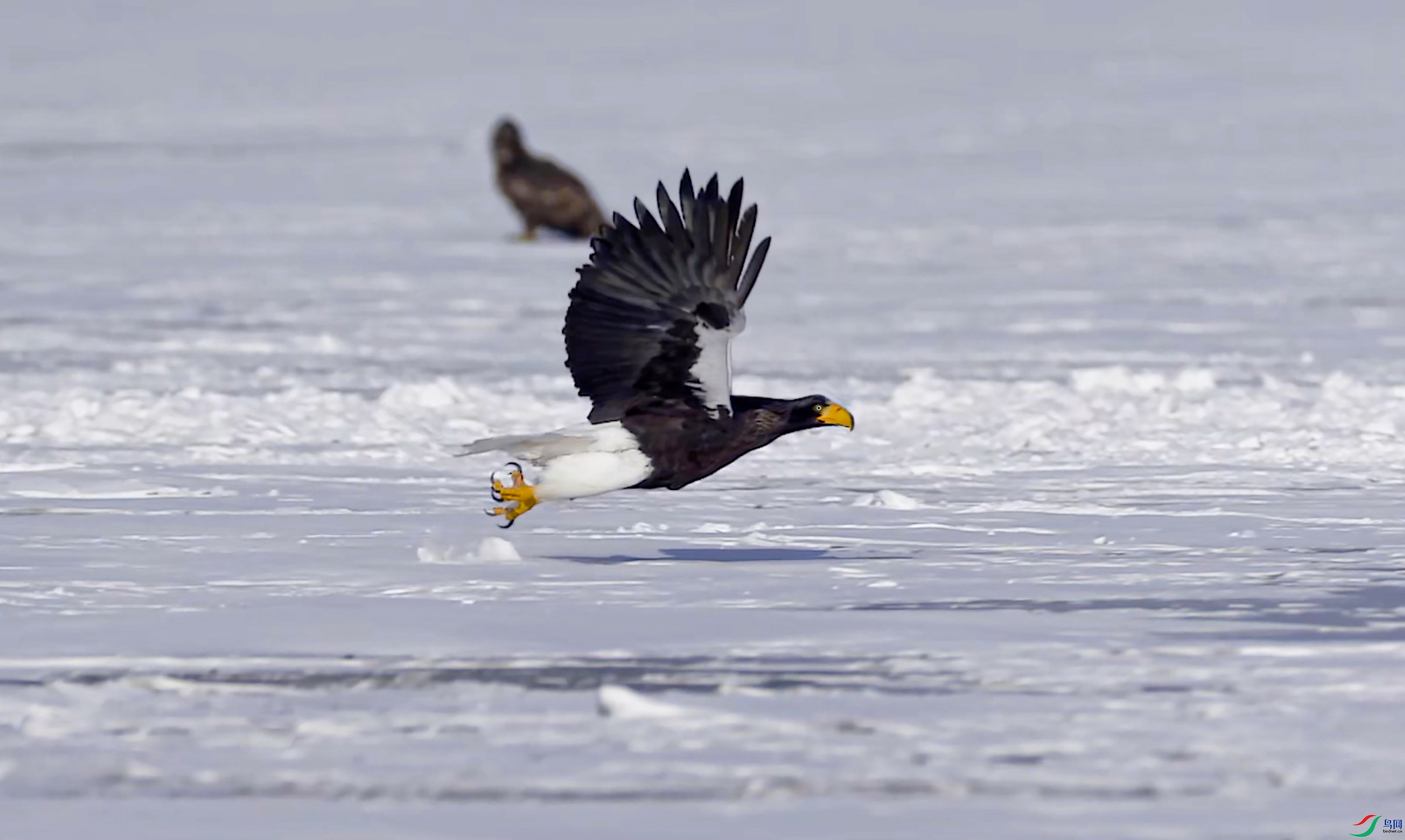 ��ͷ����