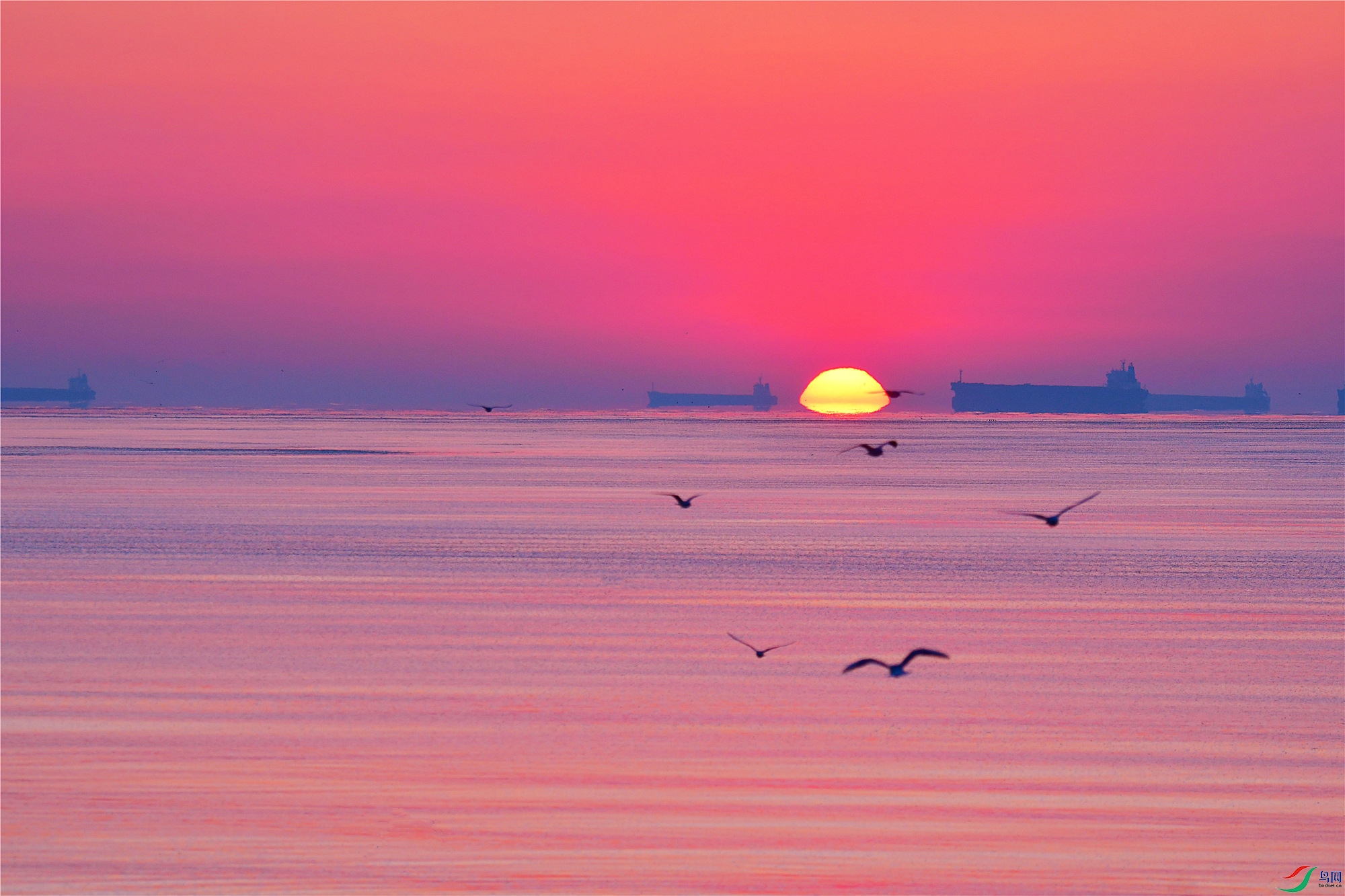 DSC_0563.JPG