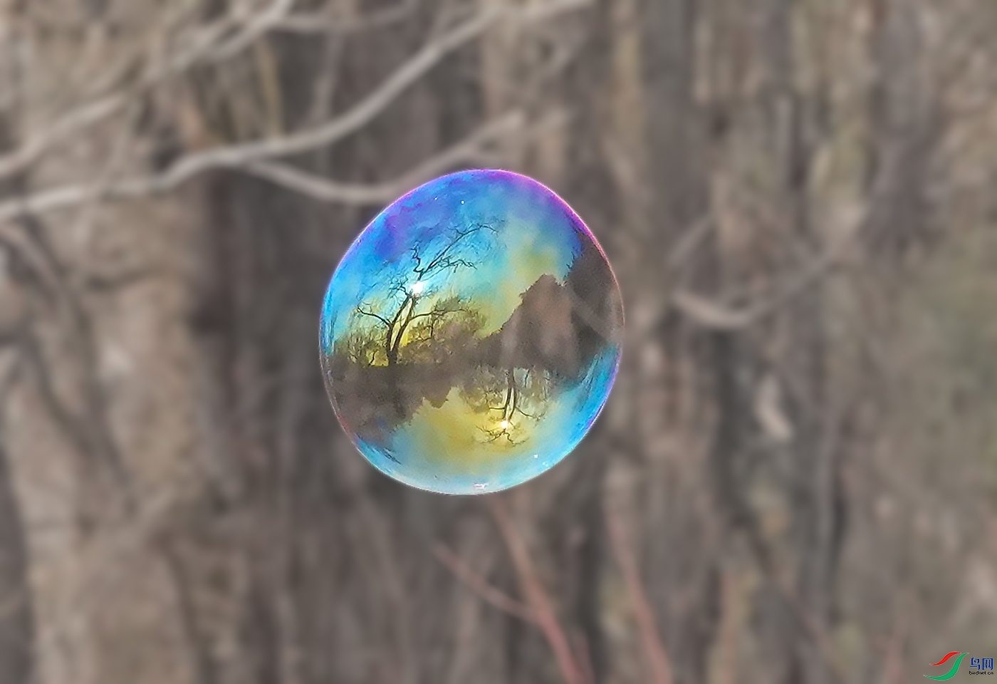 DSC00162 ����.jpg