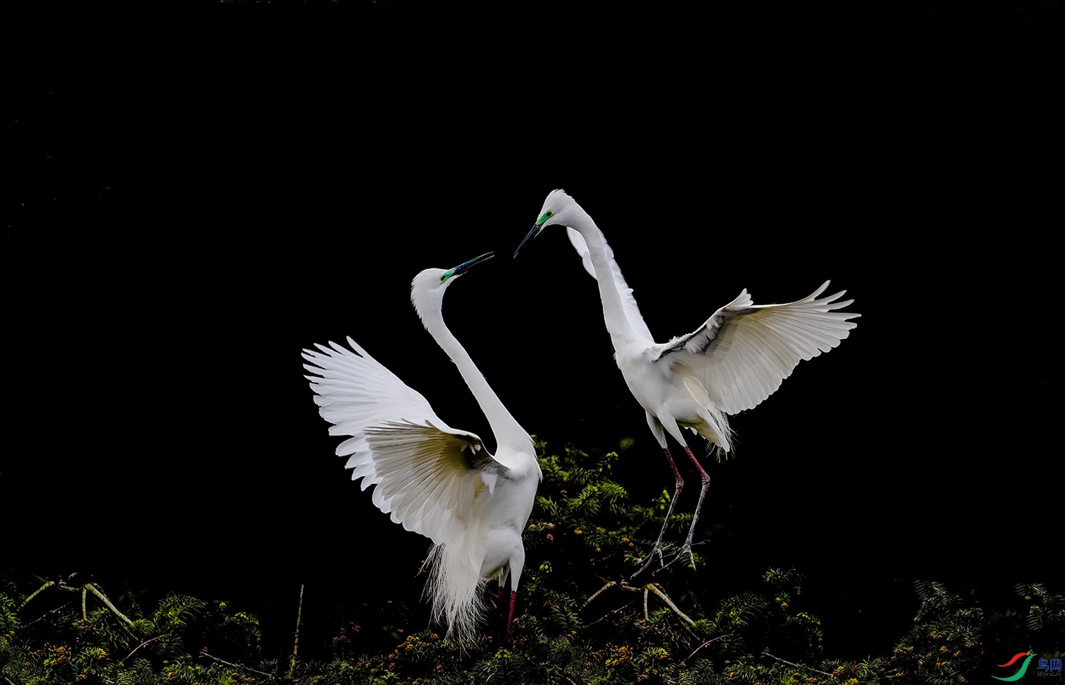DSC_2467.jpg