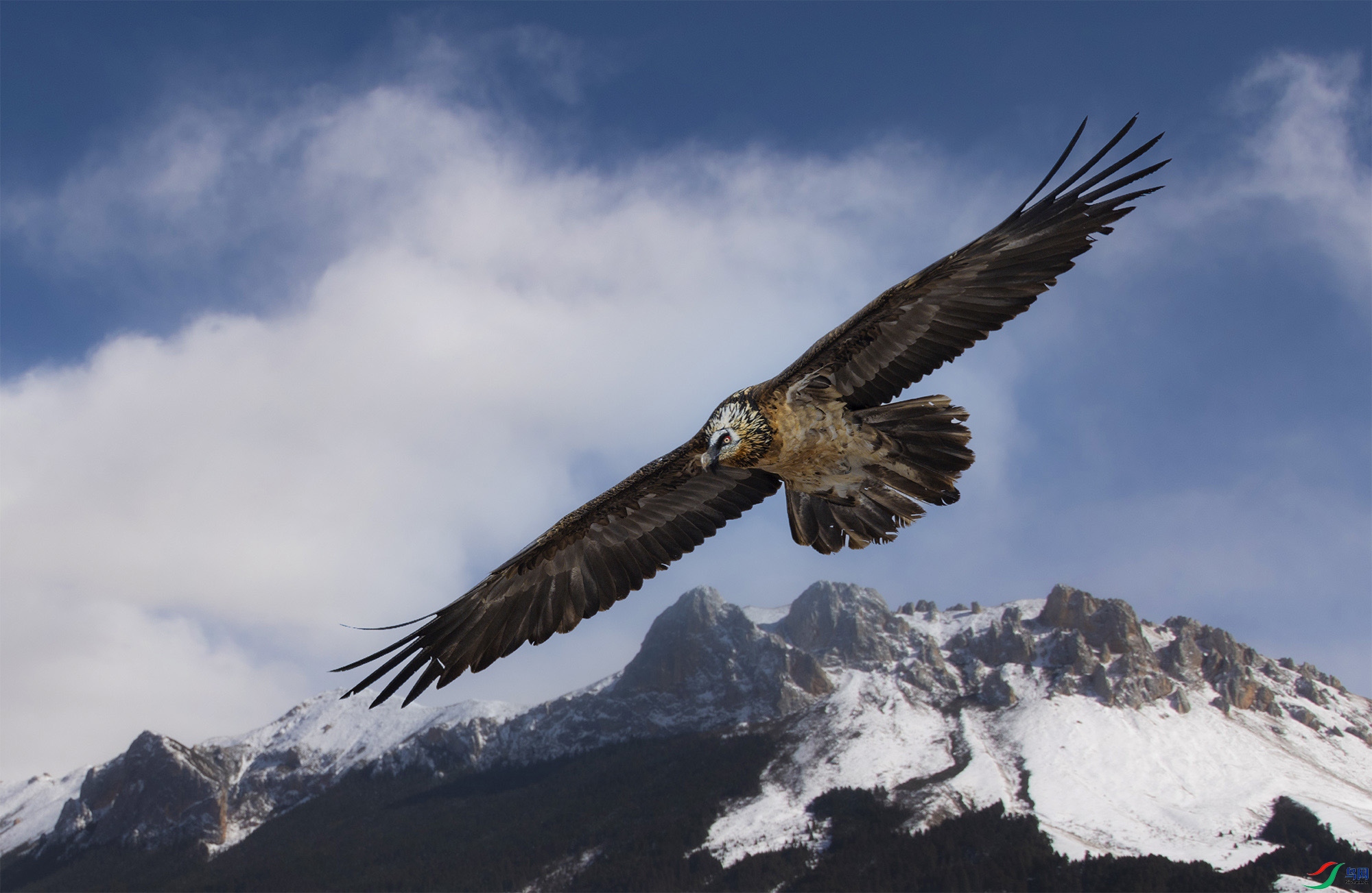 _DSC0437-����ǿ ����.jpg