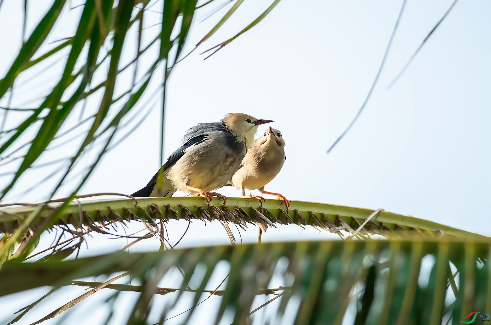 DSC_3765.jpg