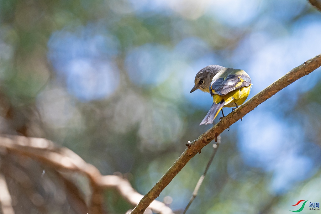 DSC_2190a.jpg