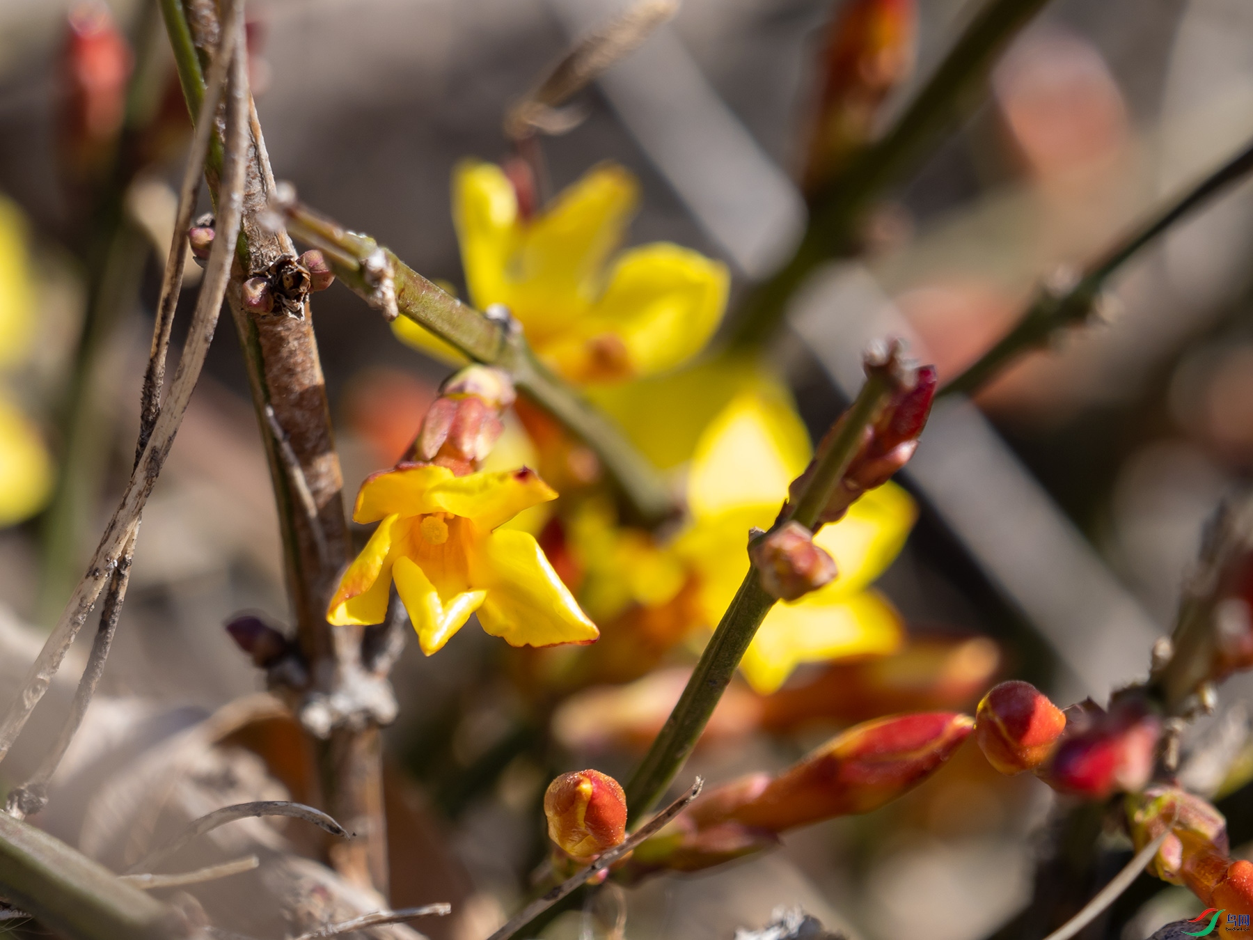 ӭ��������