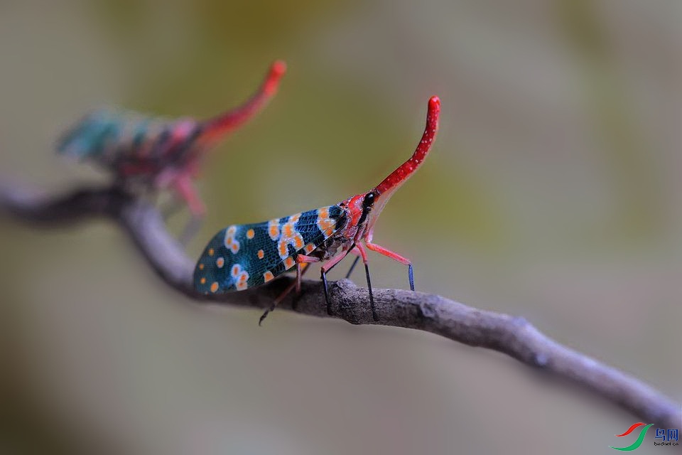DSC_6288.jpg
