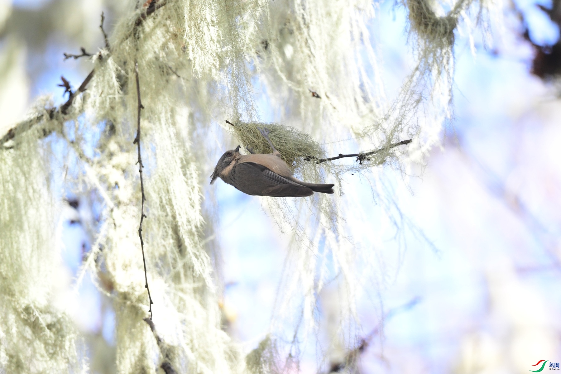 DSC_9791_����.jpg�Ϻ�.jpg