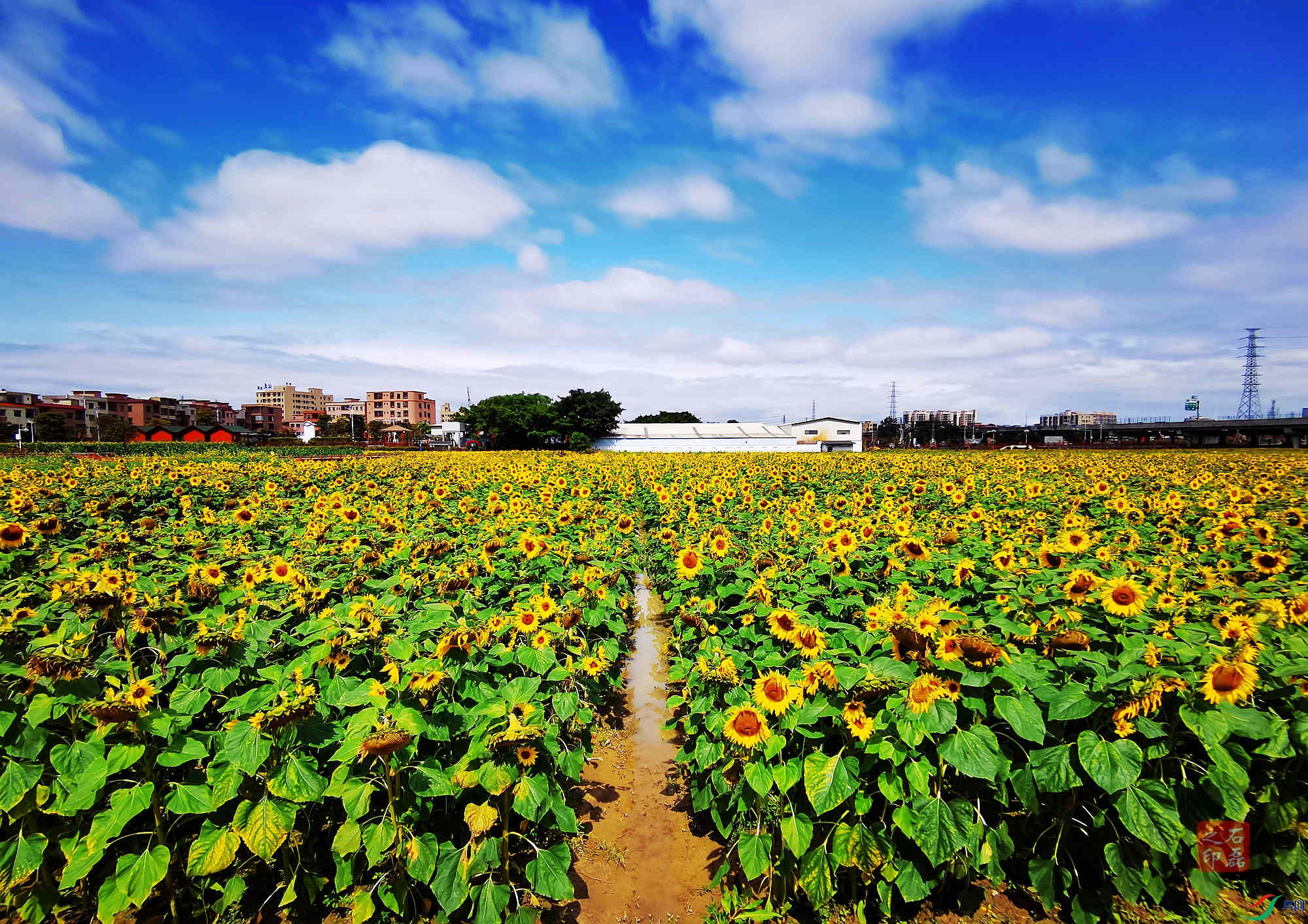 �������������