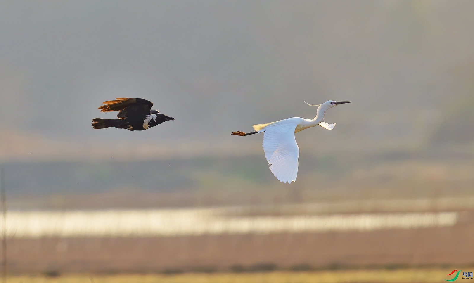 AI8I5725 ����.jpg