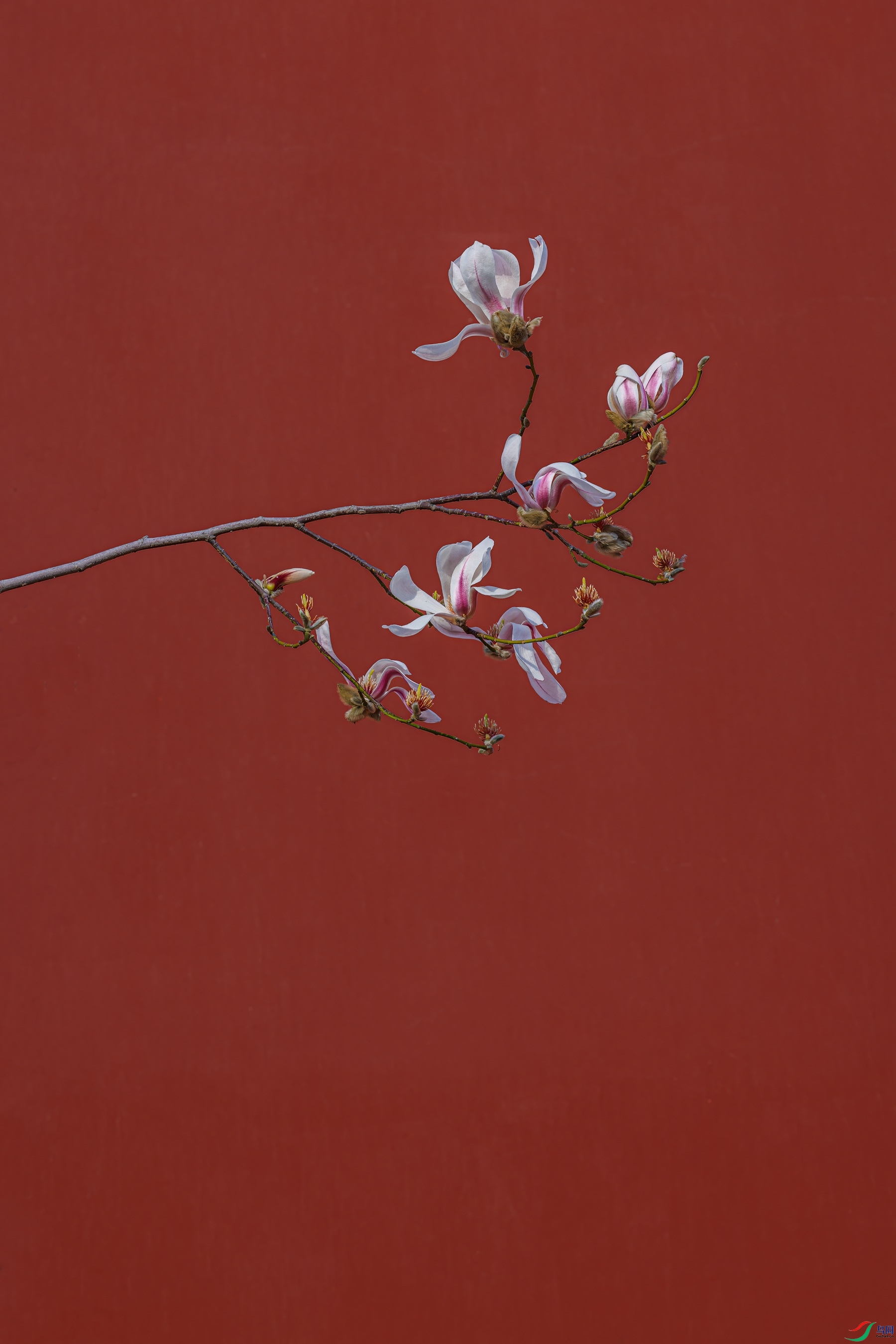 274A0024 ����_����.jpg