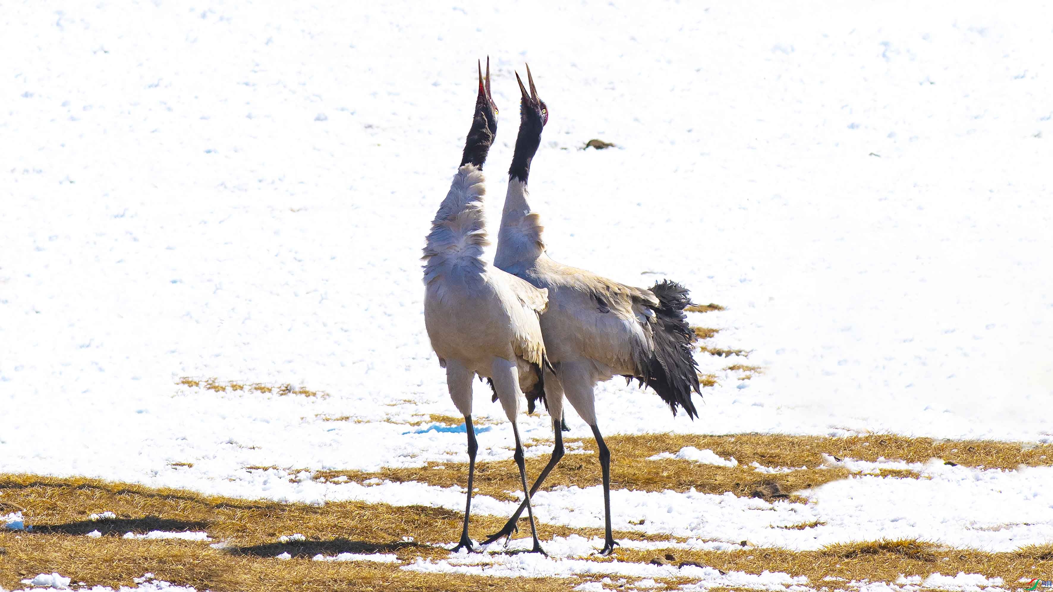 _DSC9899 .jpg