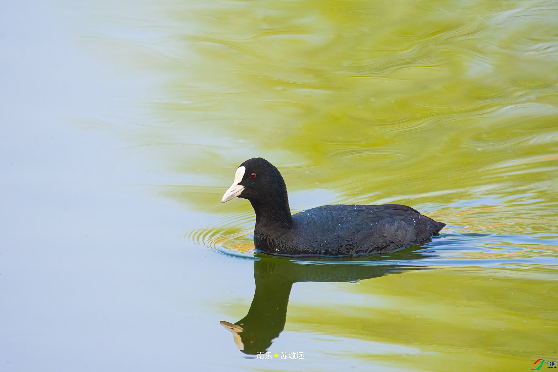 _DSC5513С.jpg