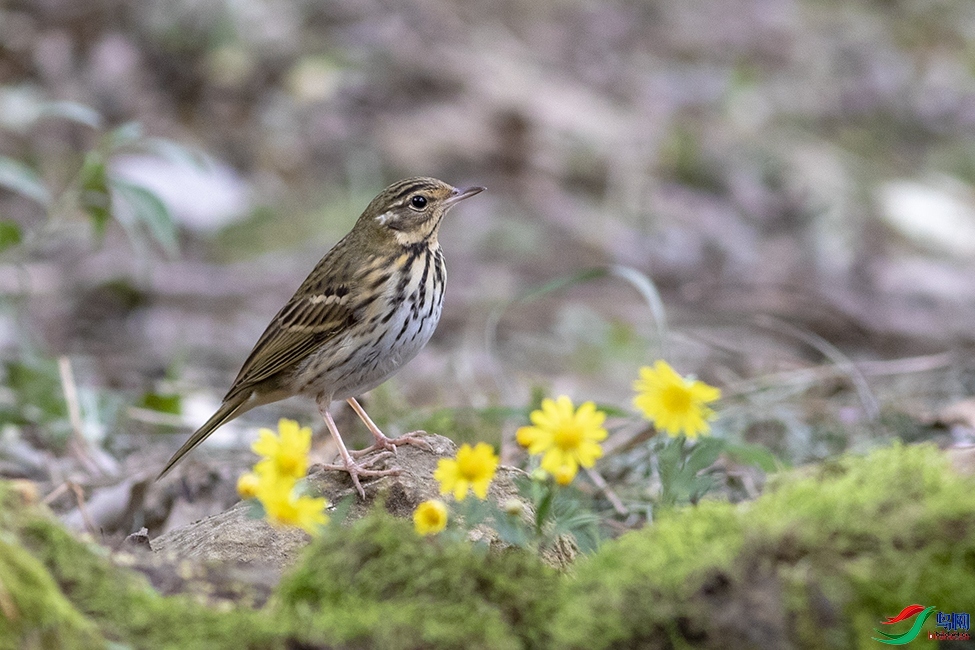 Ұâ ��ʦ����������ʡ �����б�����.jpg