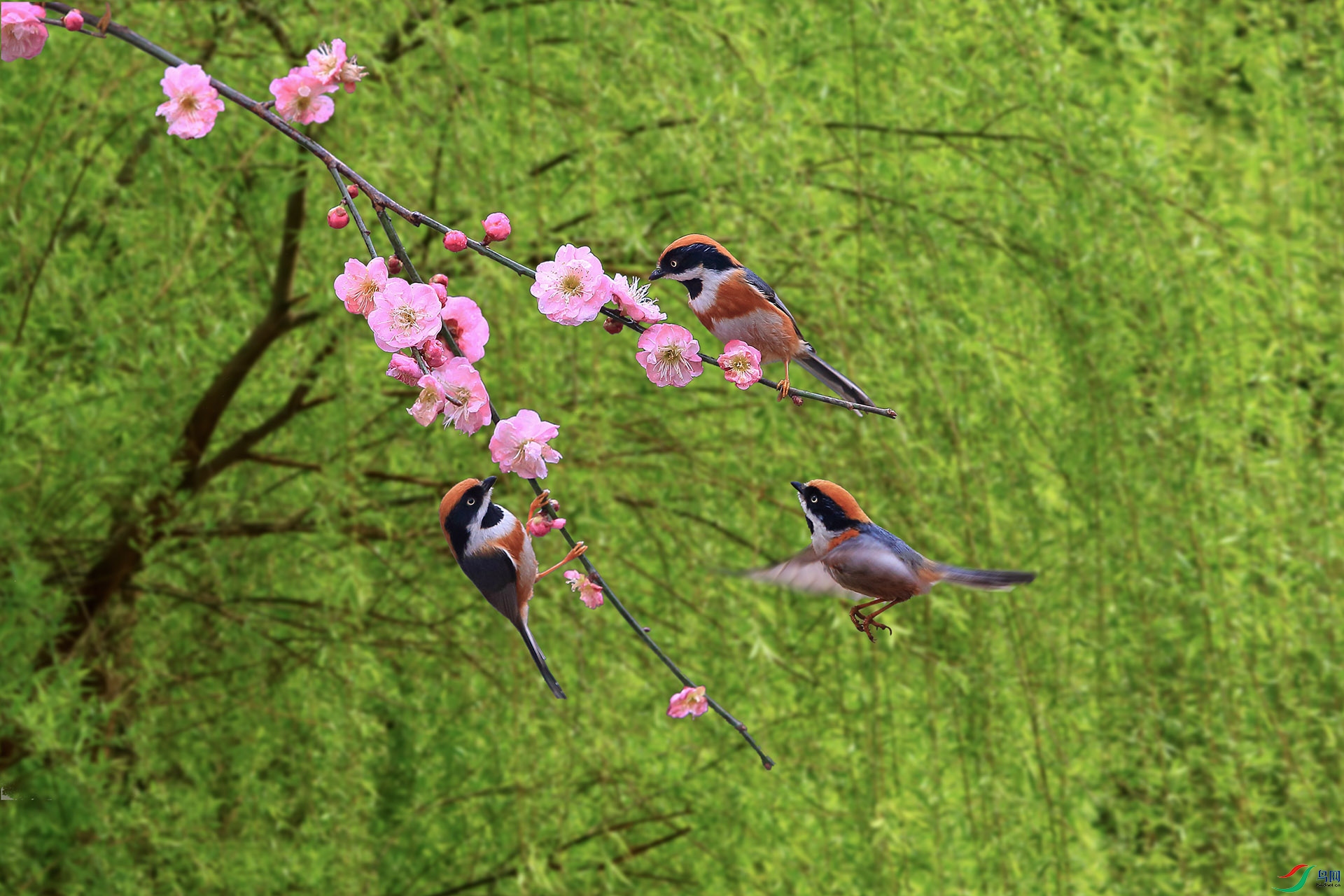 ��.jpg