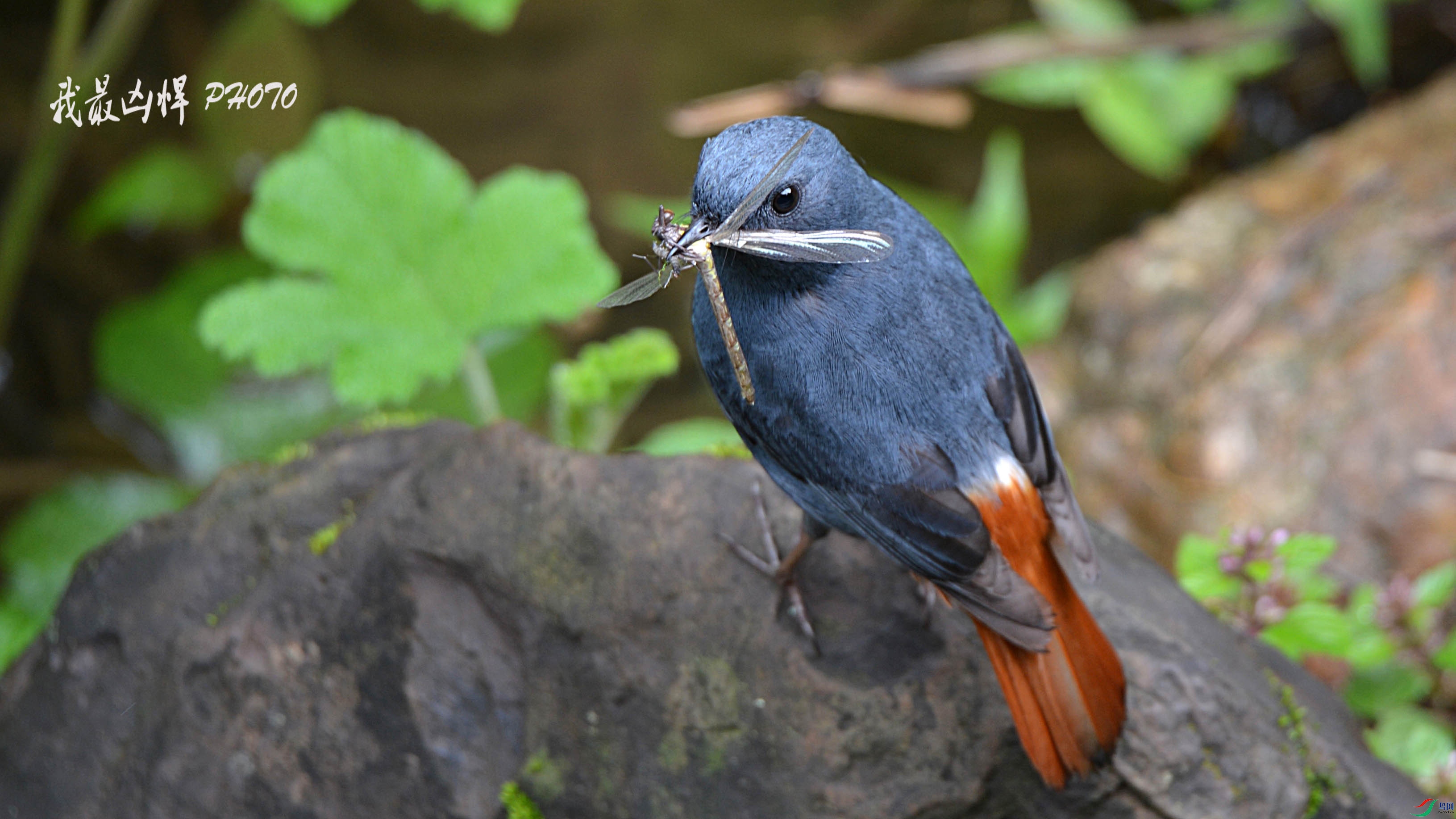 DSC_5069.jpg