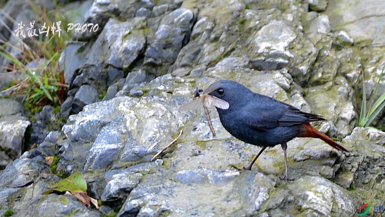 DSC_5109.jpg