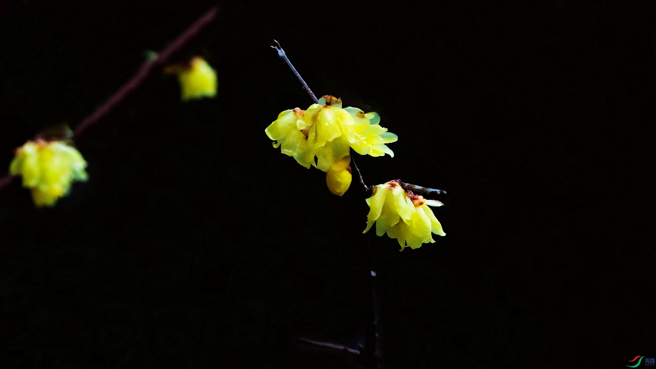 ������÷֮һ