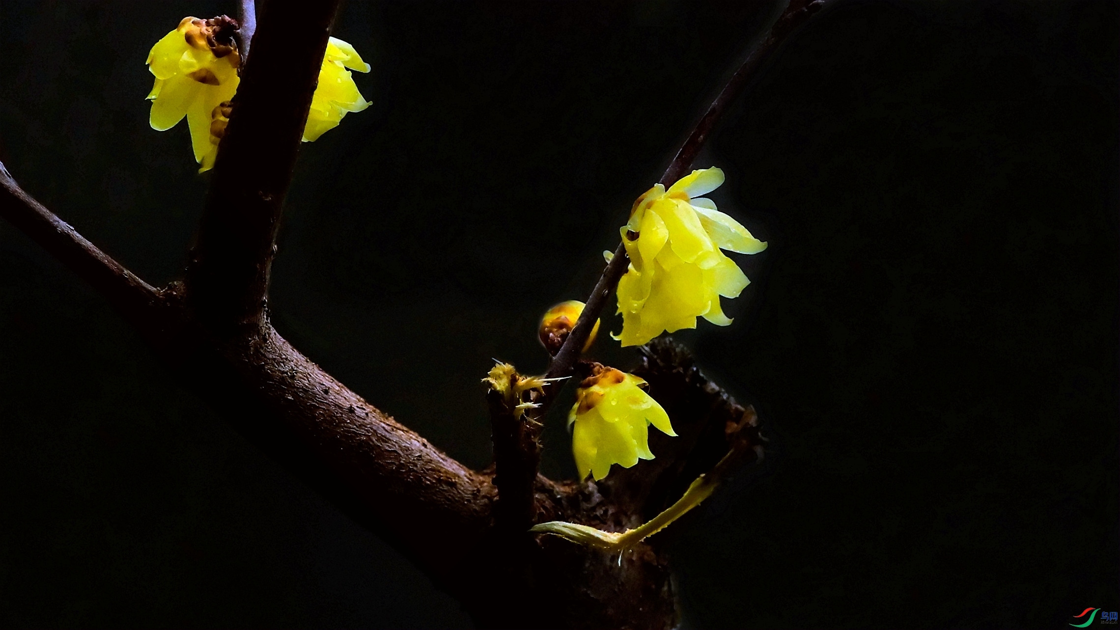 ������÷֮��