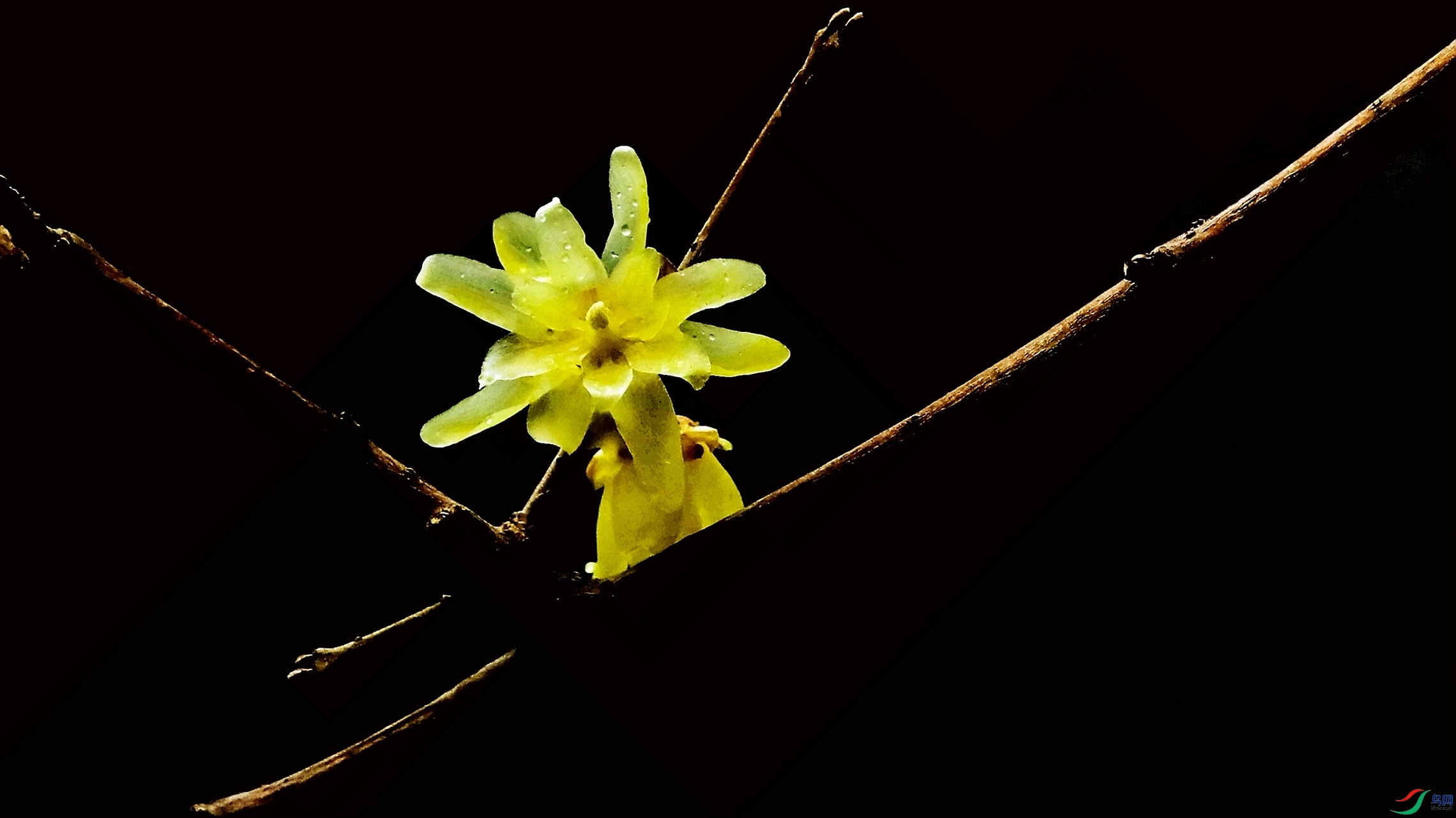 ������÷֮��