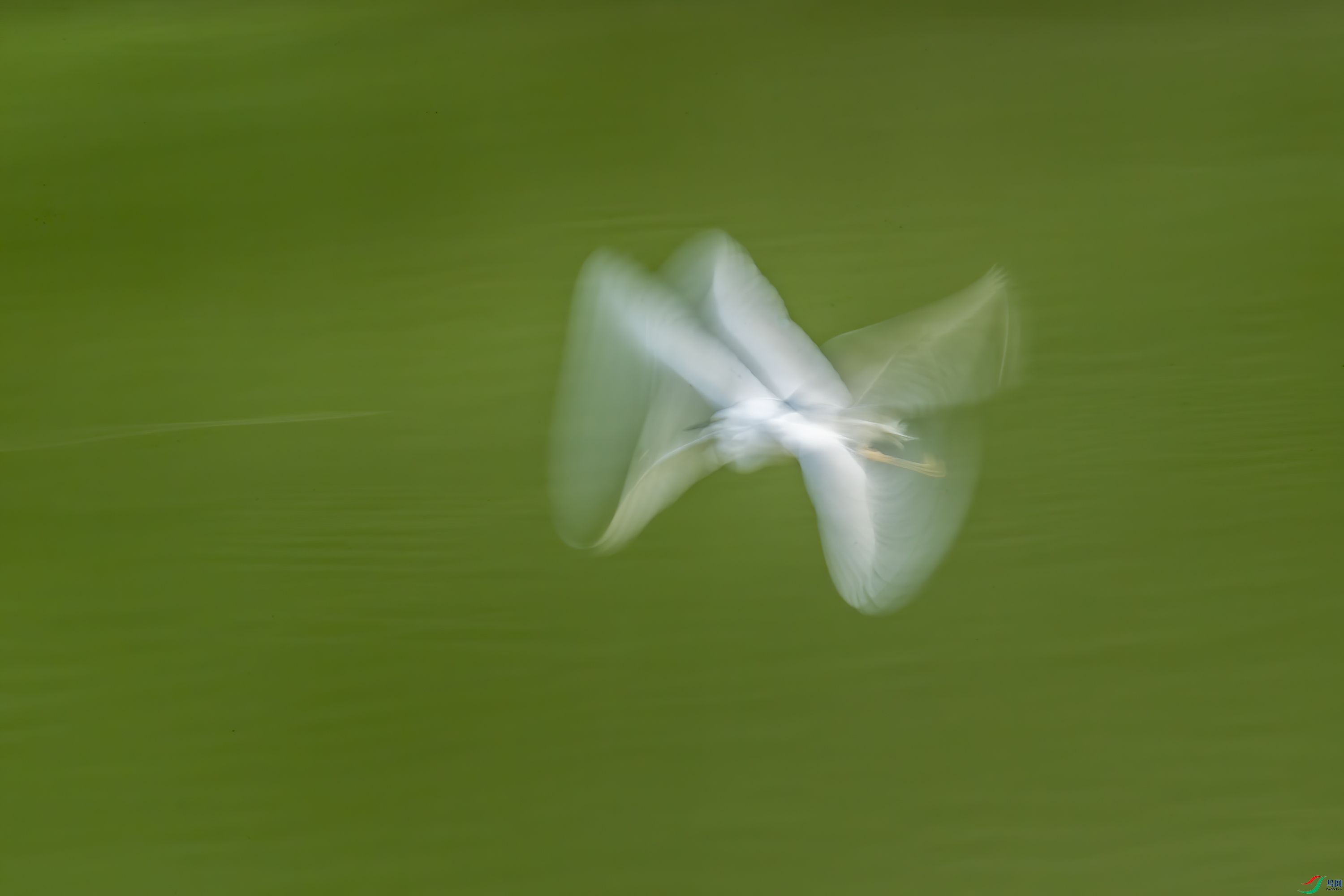 DSC_5001.jpg