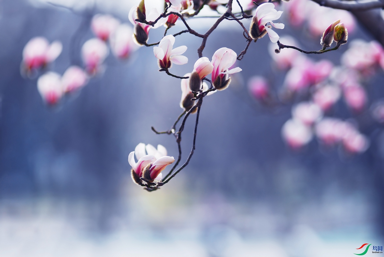 DSC_0193 ����.jpg