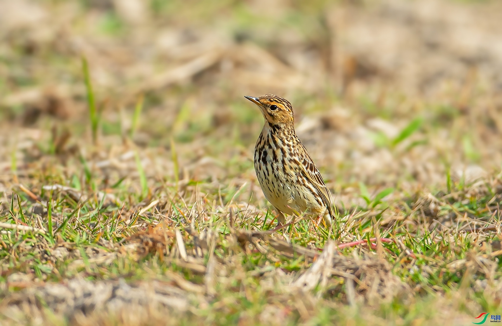 ��ѧ��  ��ʦ�����ں���ʡ��ˮ����������.jpg