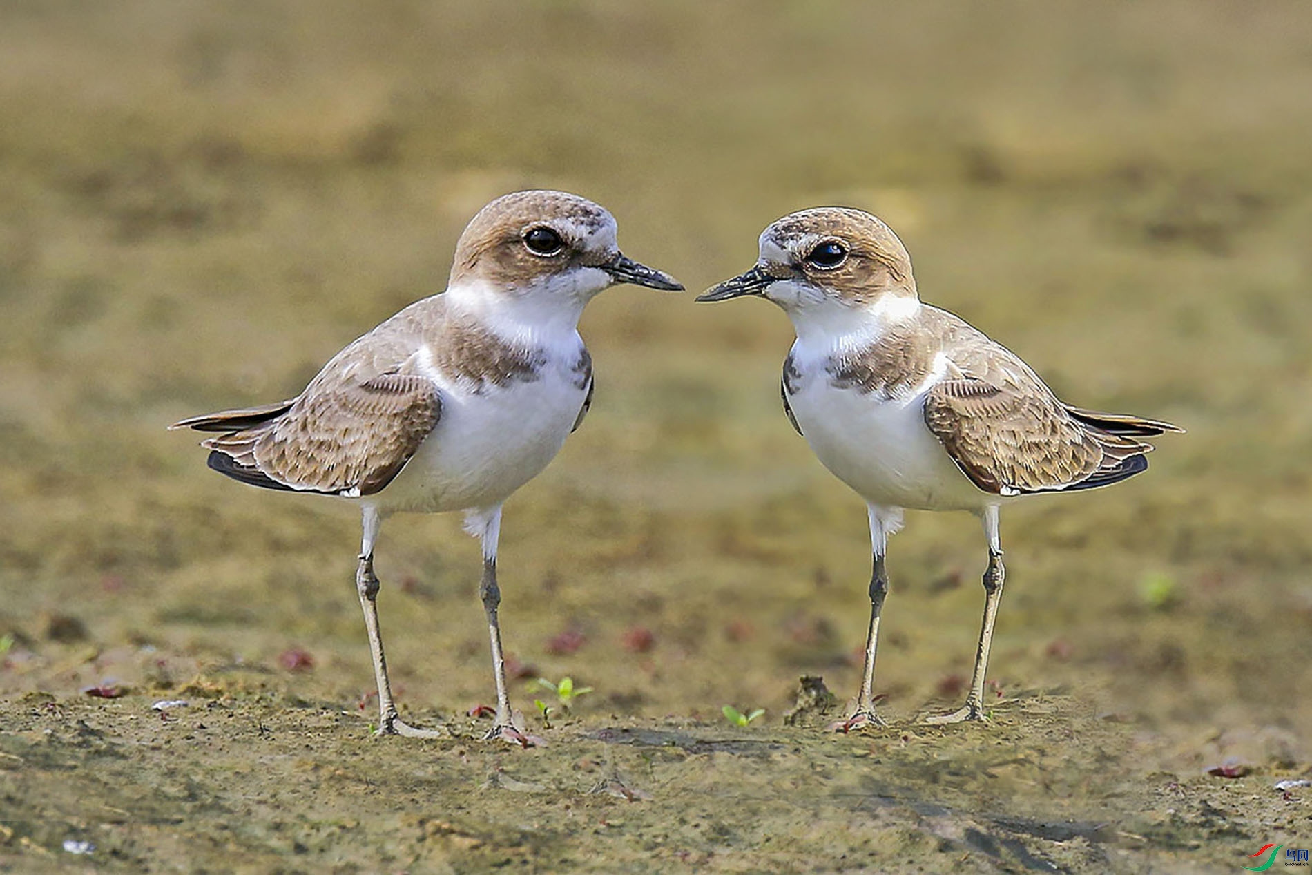 3D1A7757m.jpg
