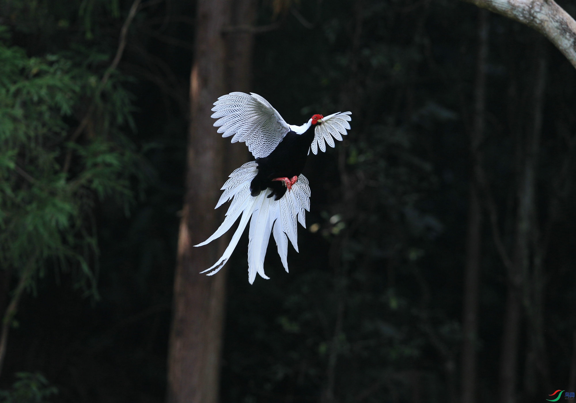 ���� DN4W9989.jpg