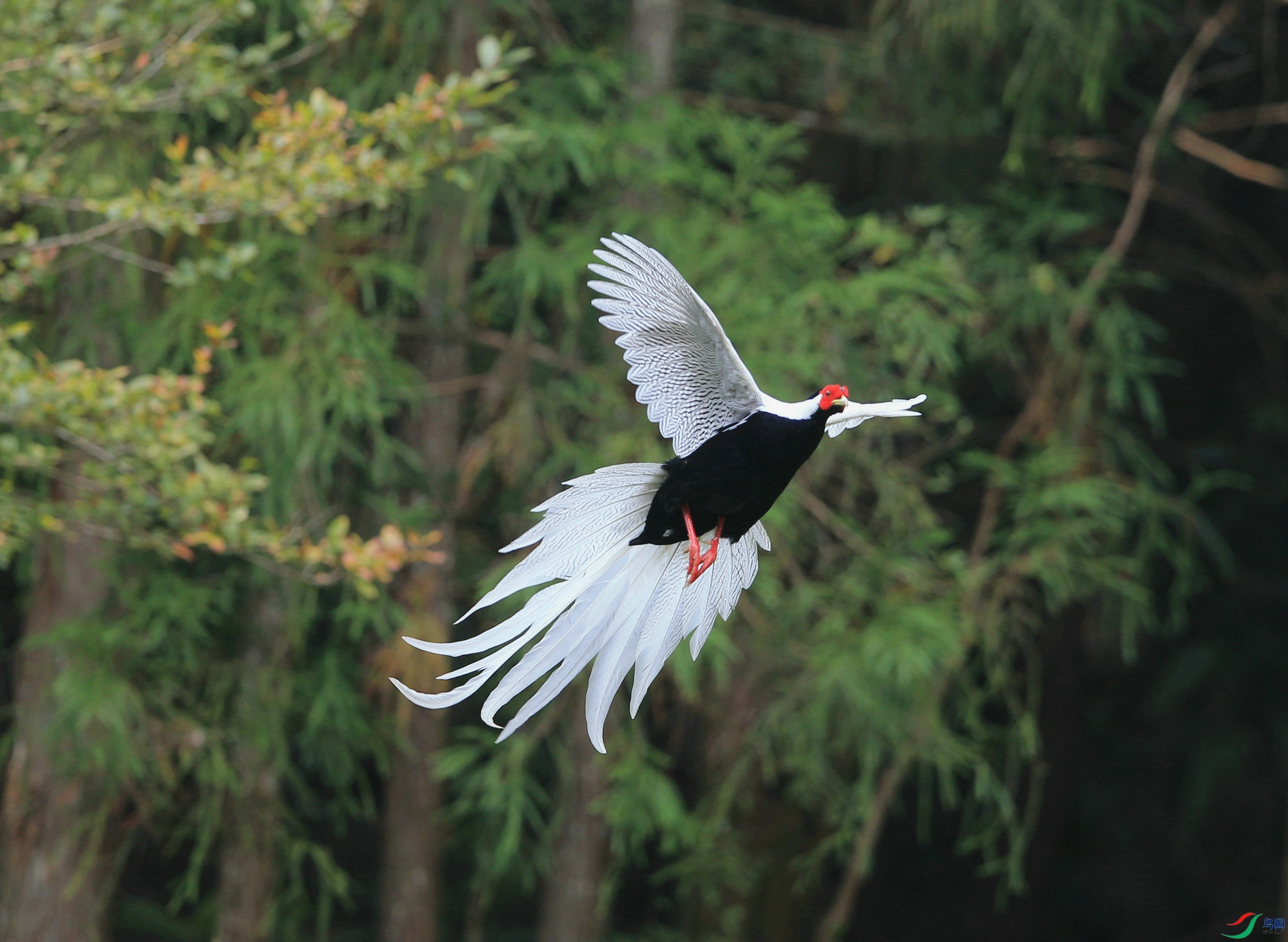 ���� DN4W9896.jpg