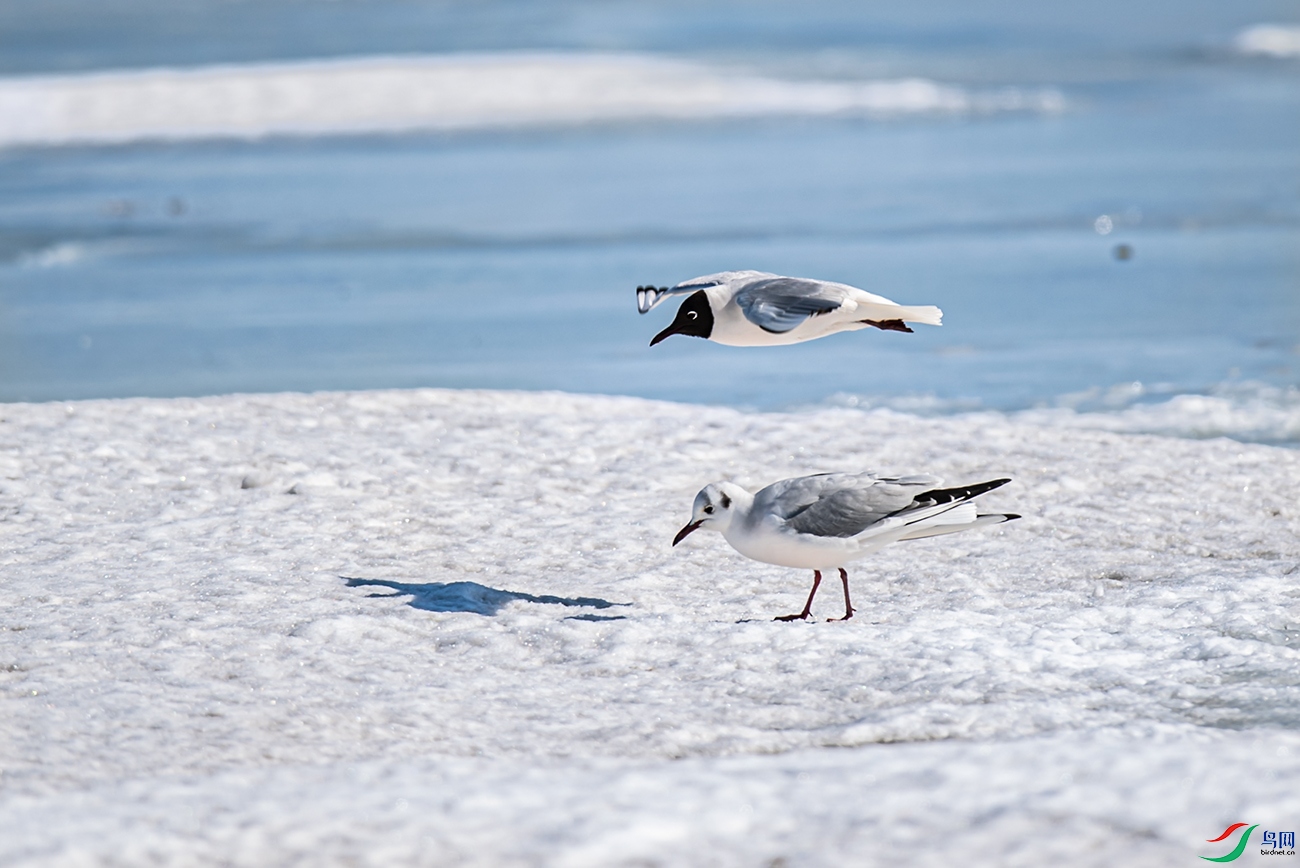DSC_5918.jpg1.jpg